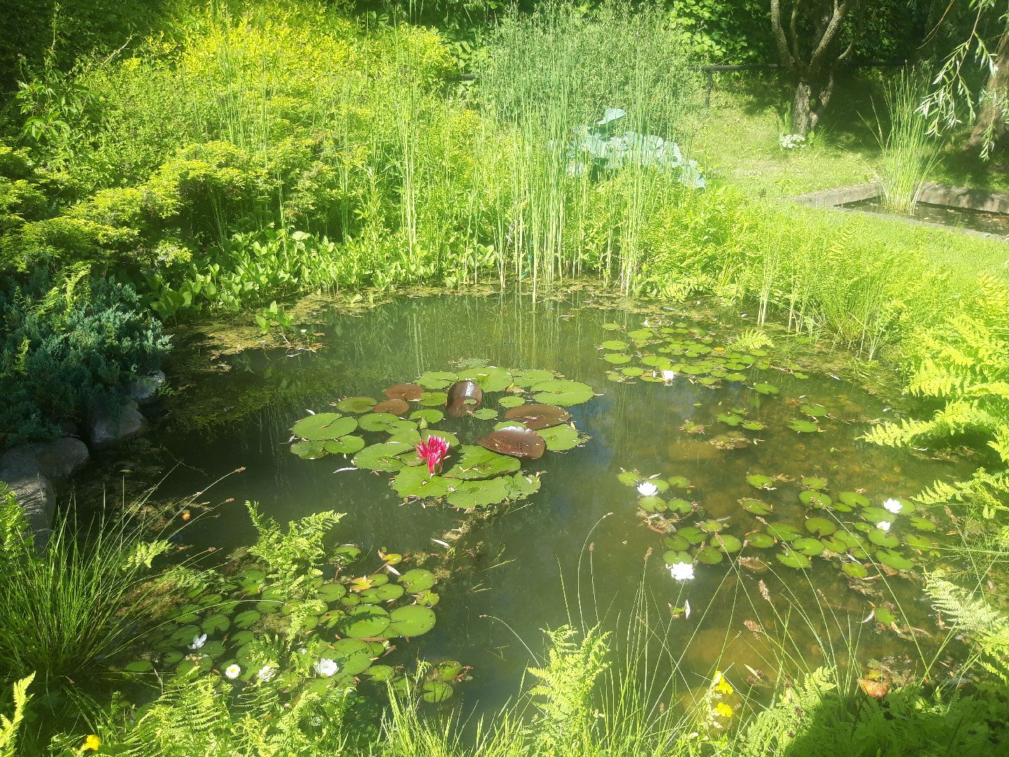 доброе дело, река, озеро,