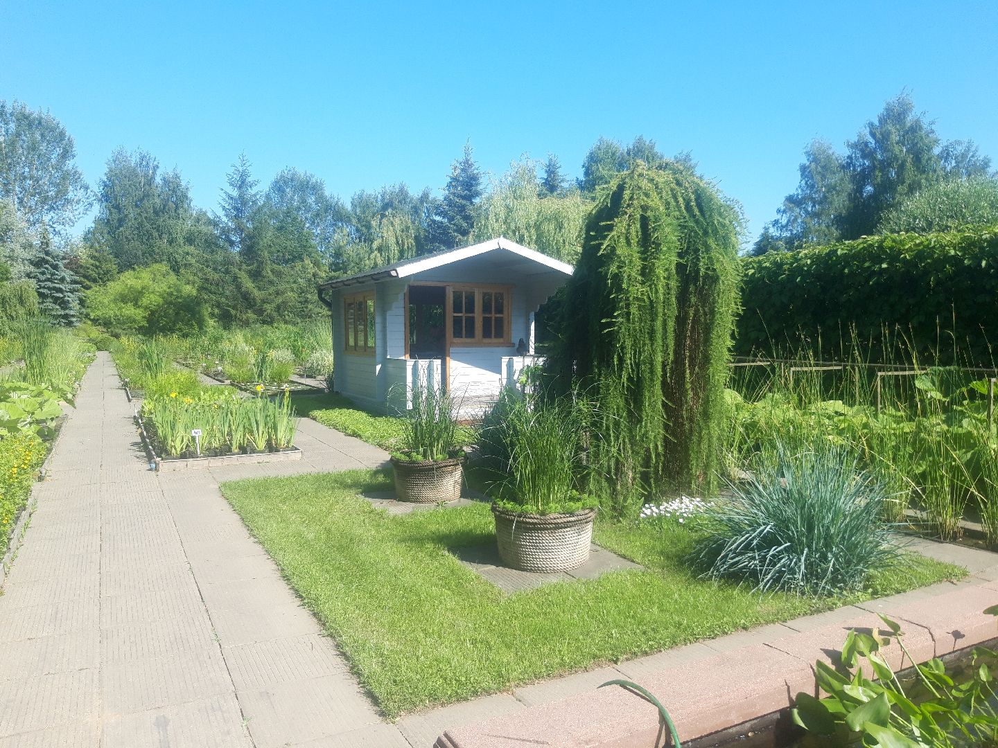 доброе дело, река, озеро,