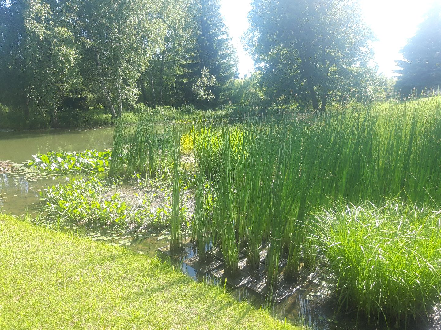 доброе дело, река, озеро,