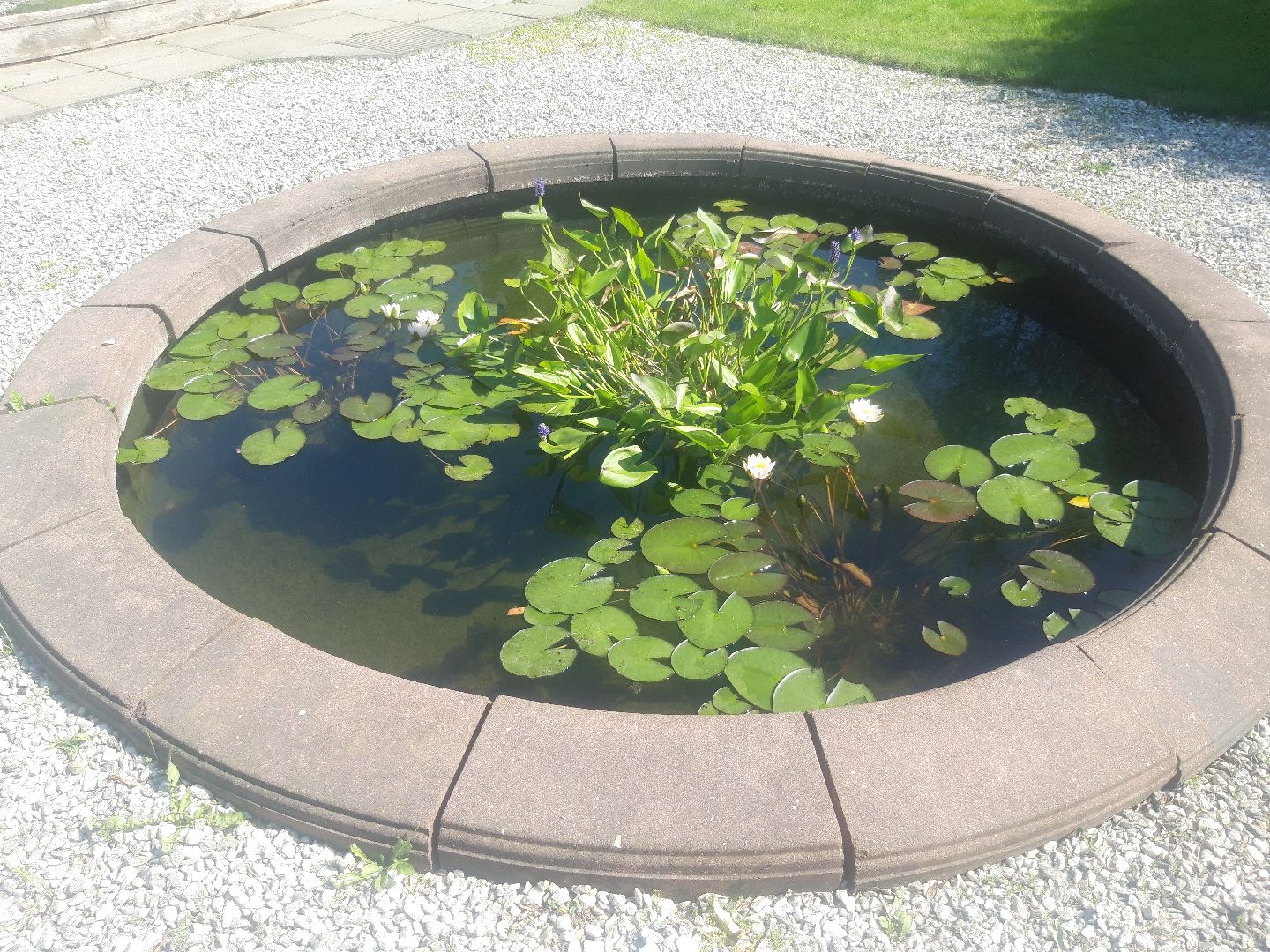 доброе дело, река, озеро,