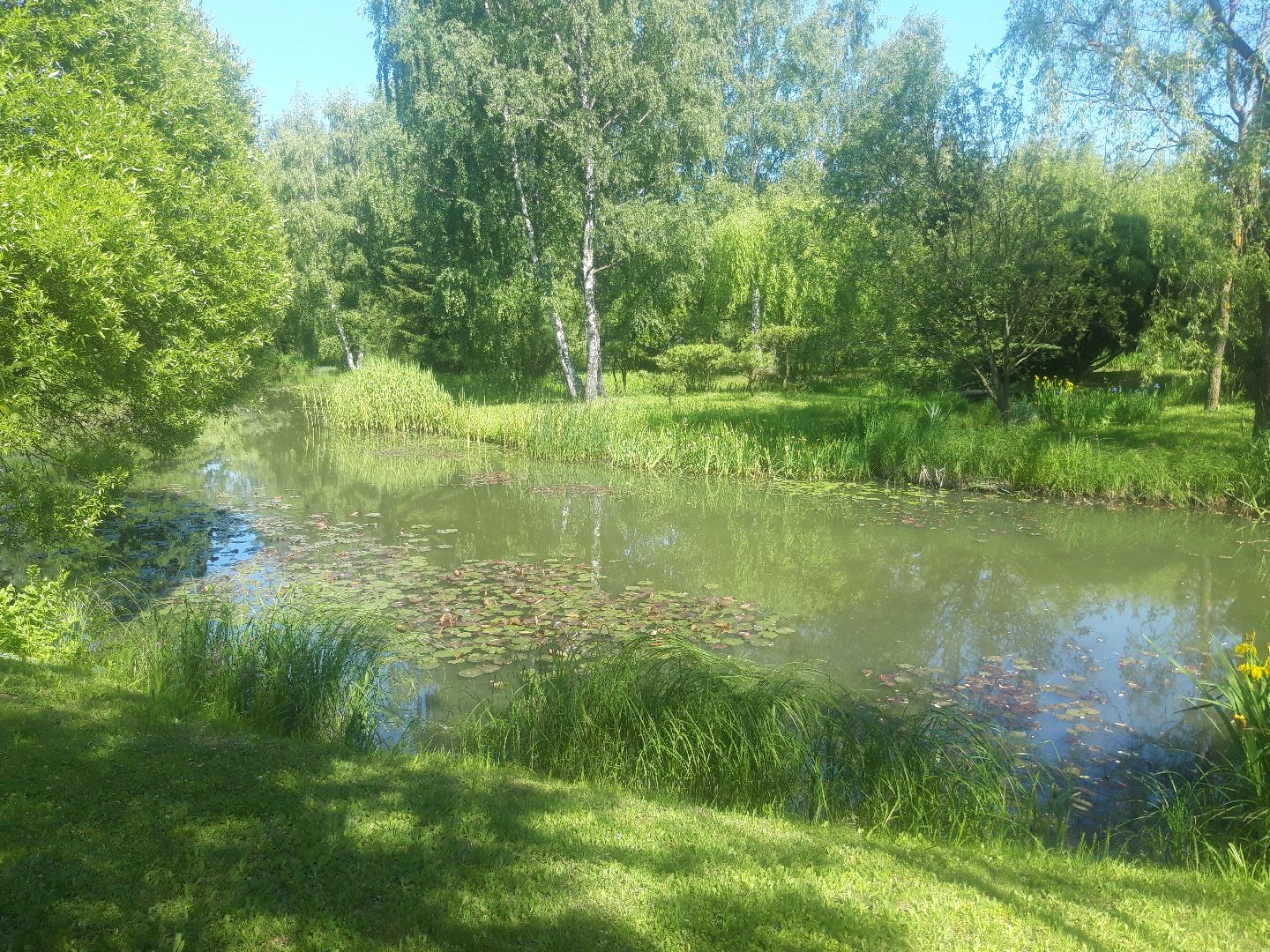 доброе дело, река, озеро,