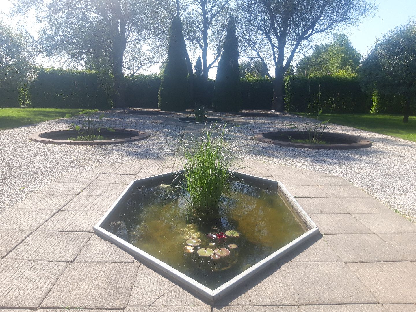 доброе дело, река, озеро,