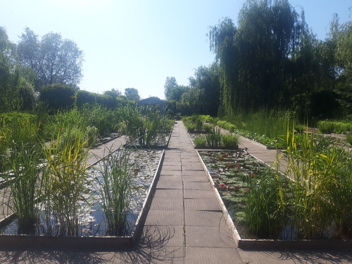 доброе дело, река, озеро,