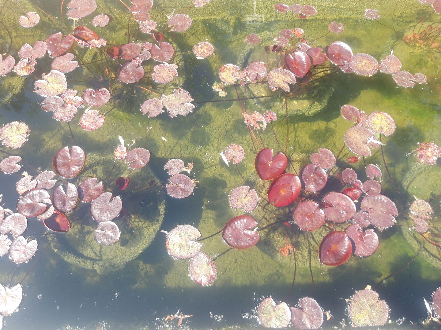 доброе дело, река, озеро,