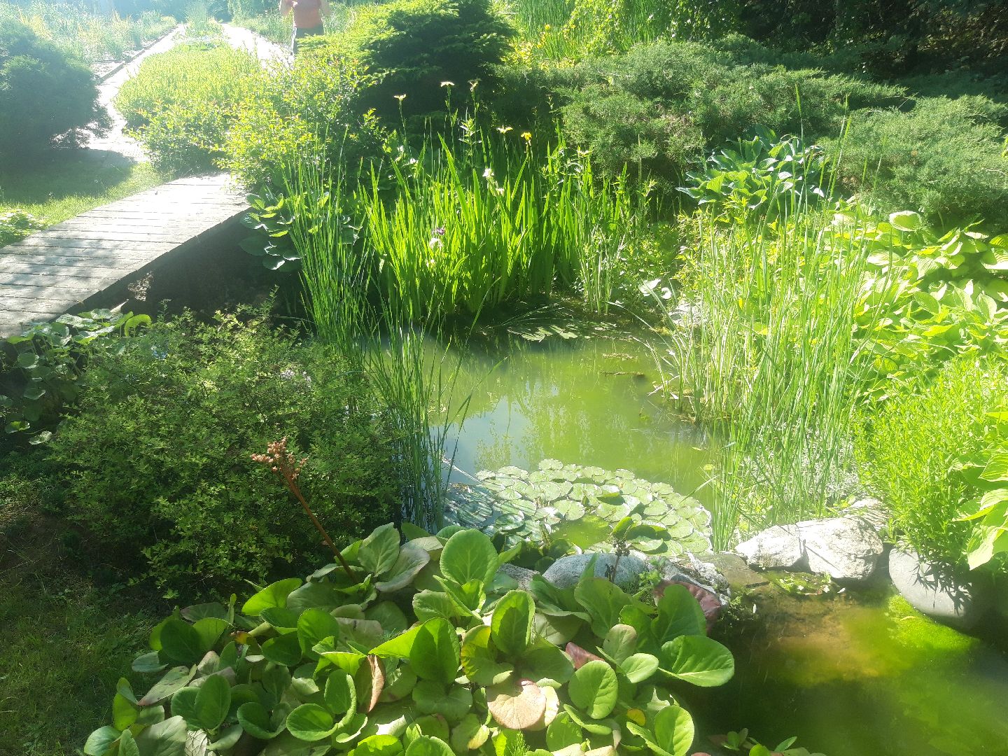 доброе дело, река, озеро,