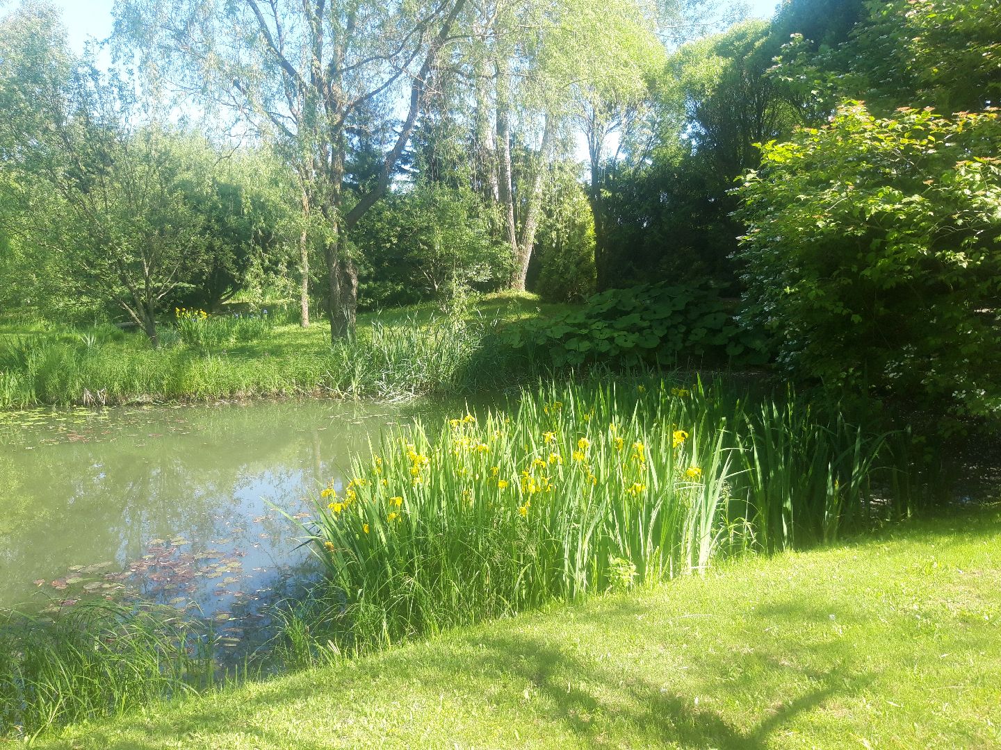 доброе дело, река, озеро,