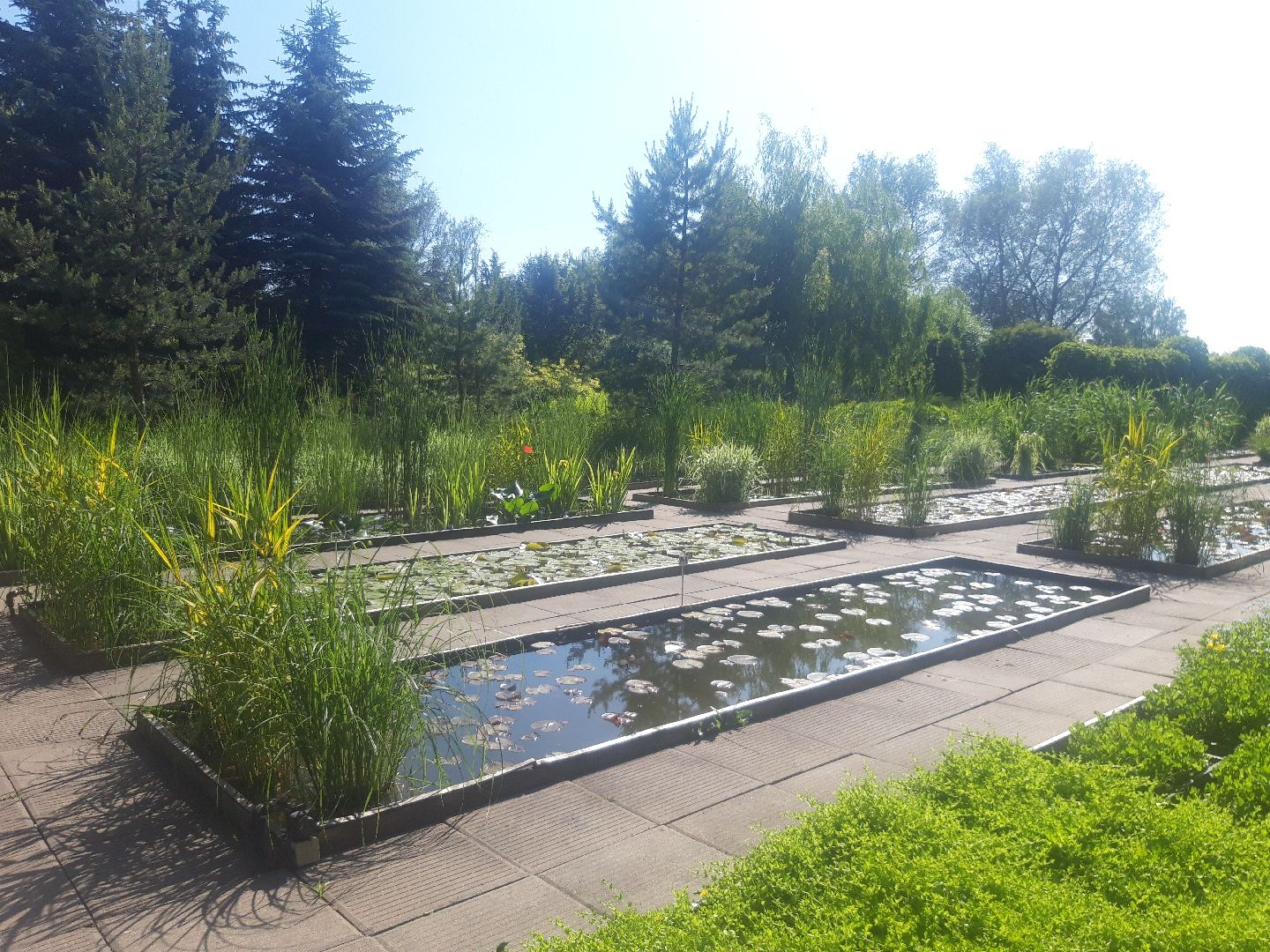 доброе дело, река, озеро,