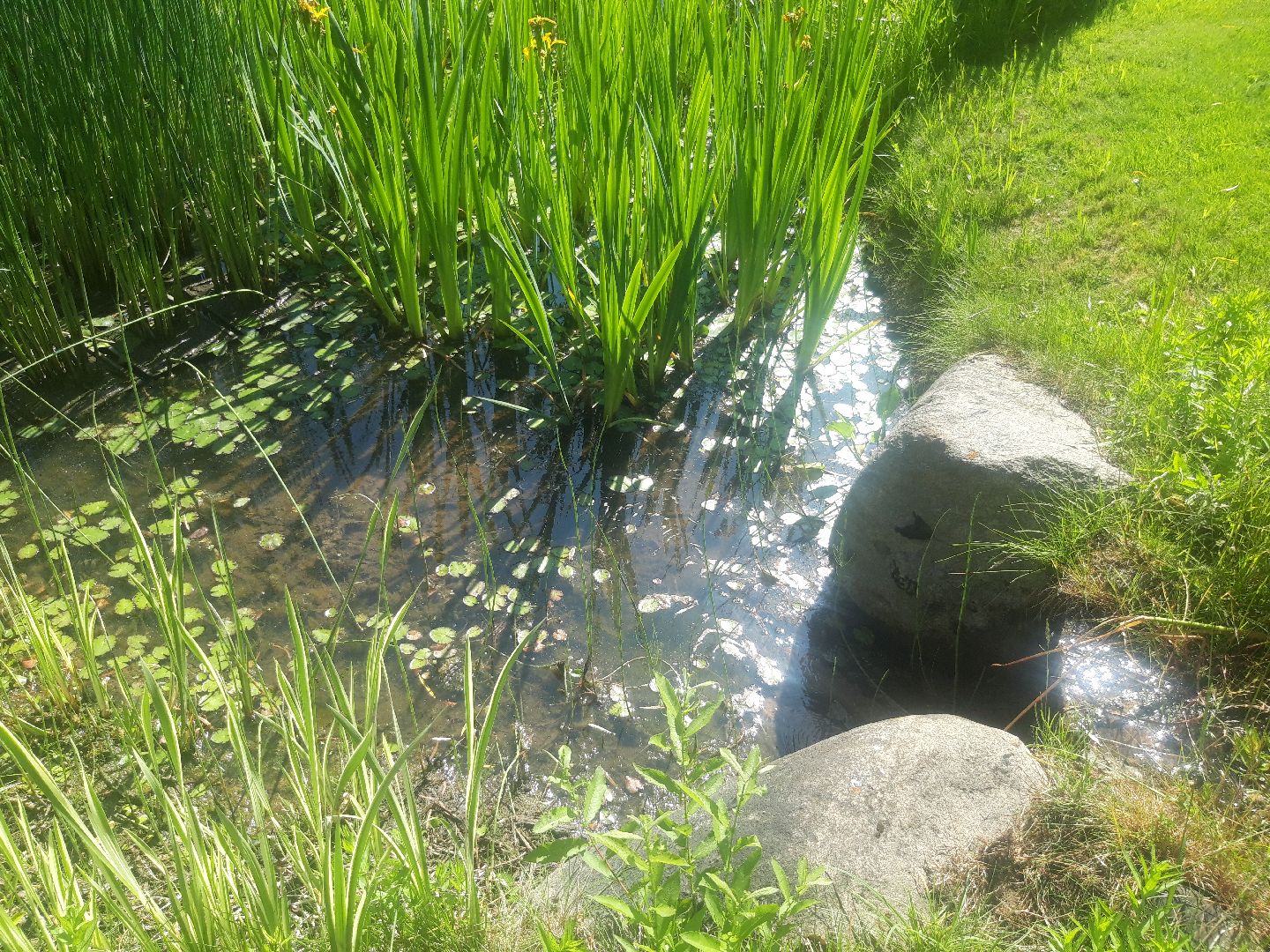 доброе дело, река, озеро,