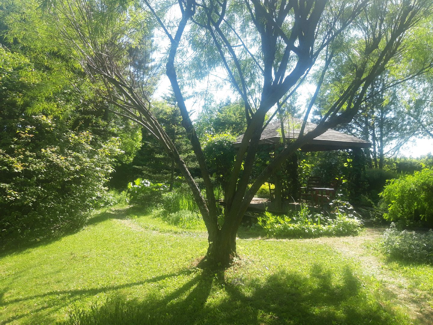 доброе дело, река, озеро,