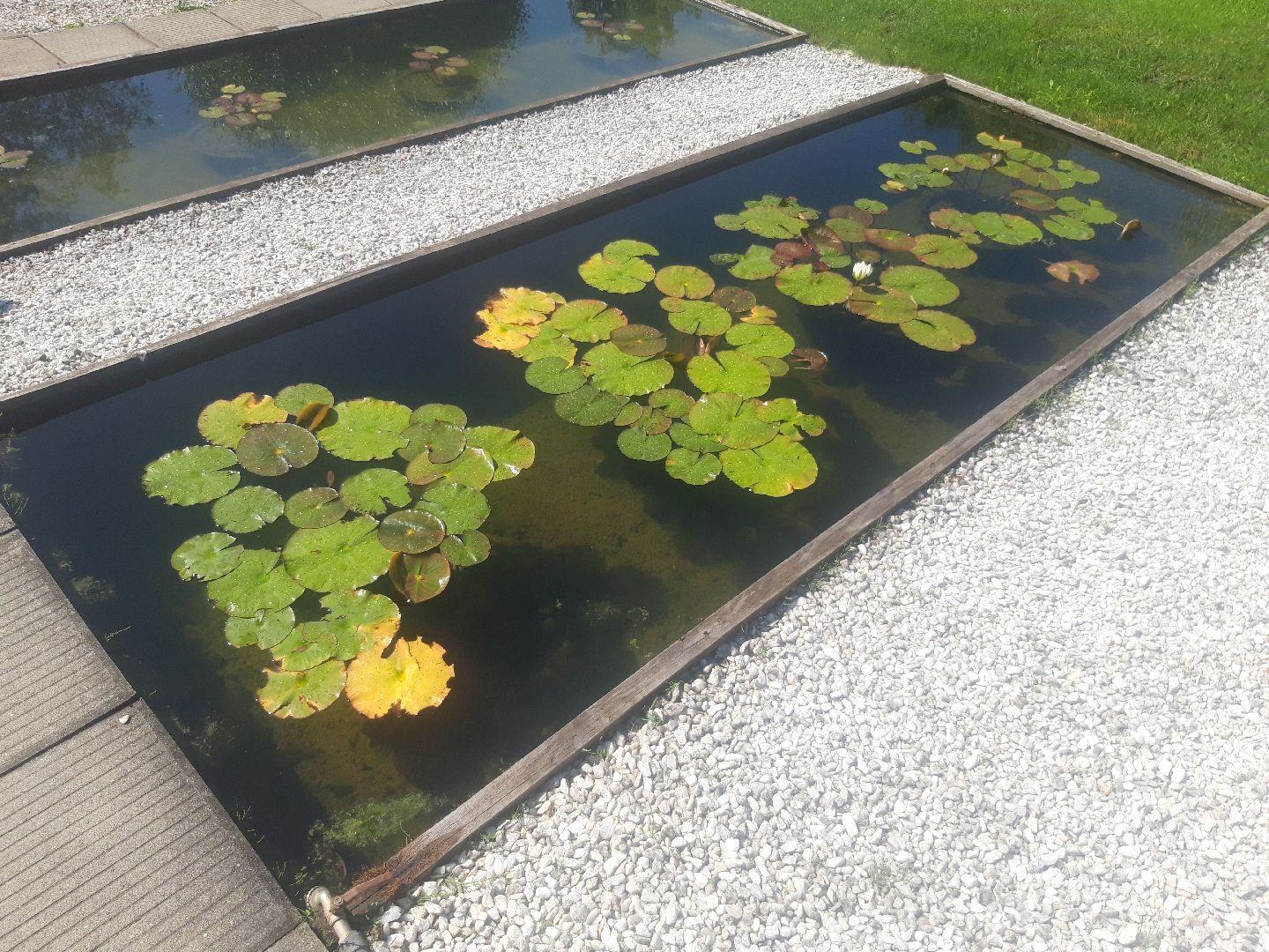 доброе дело, река, озеро,