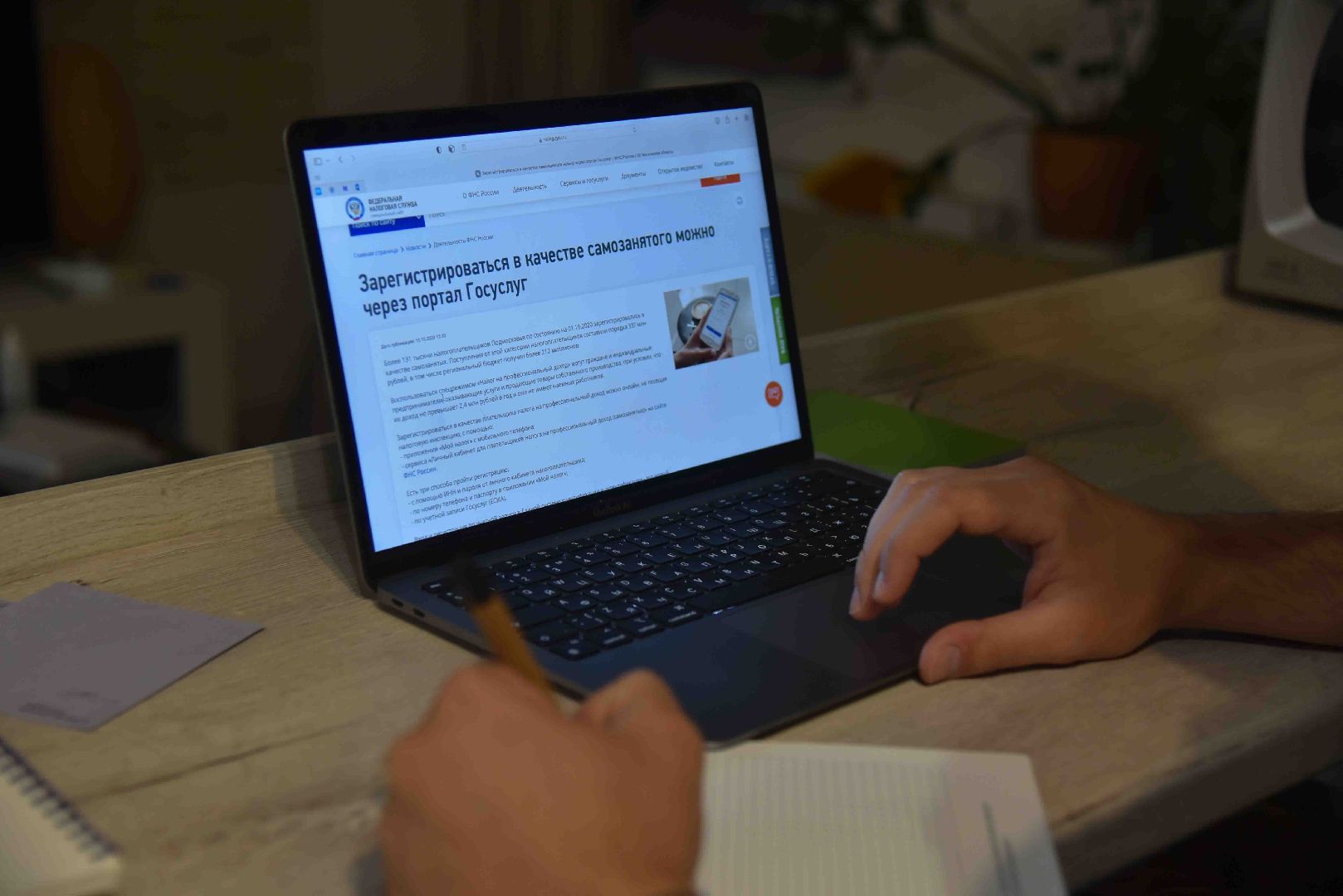 Химки, самозанятый, статус