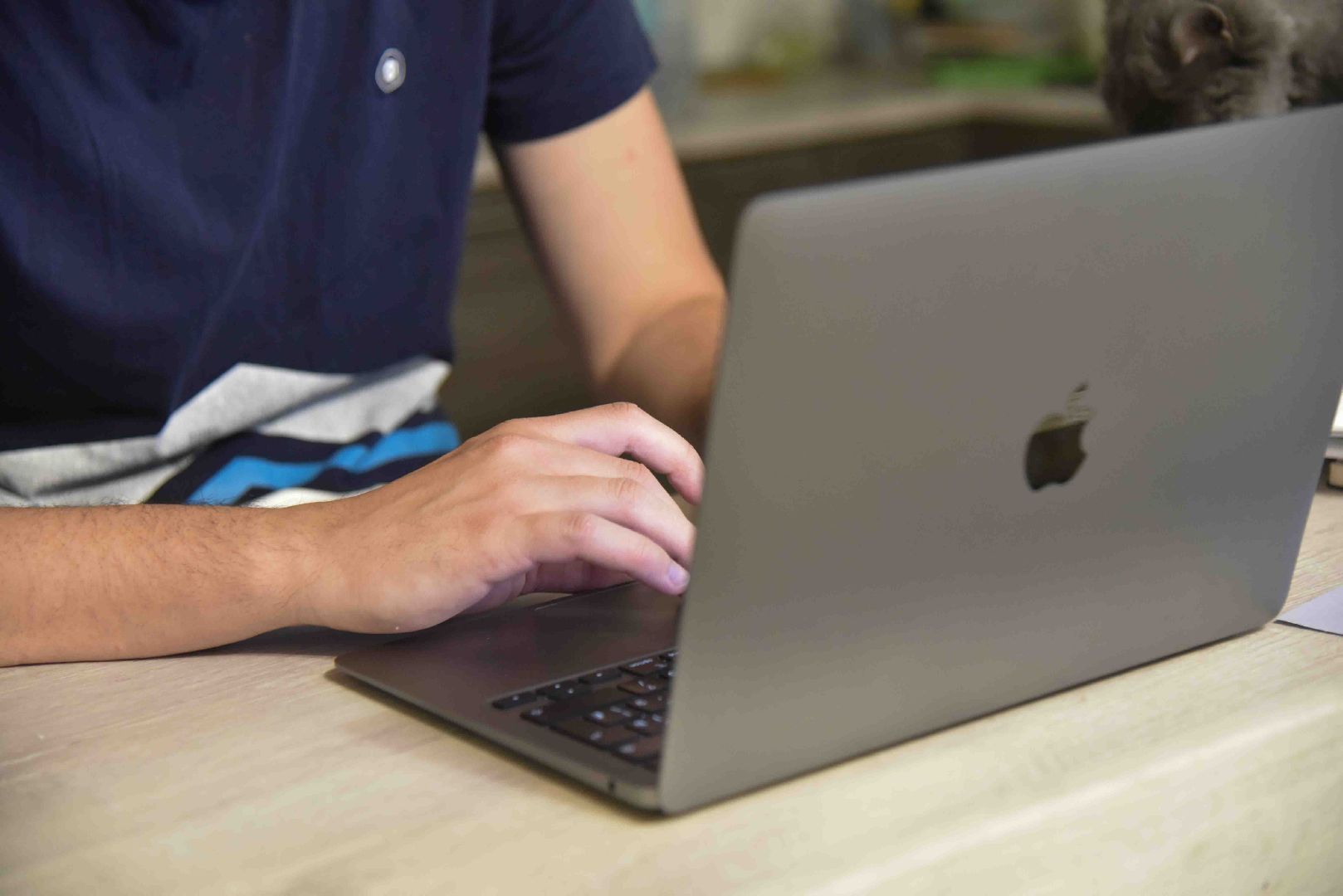 Химки, самозанятый, статус