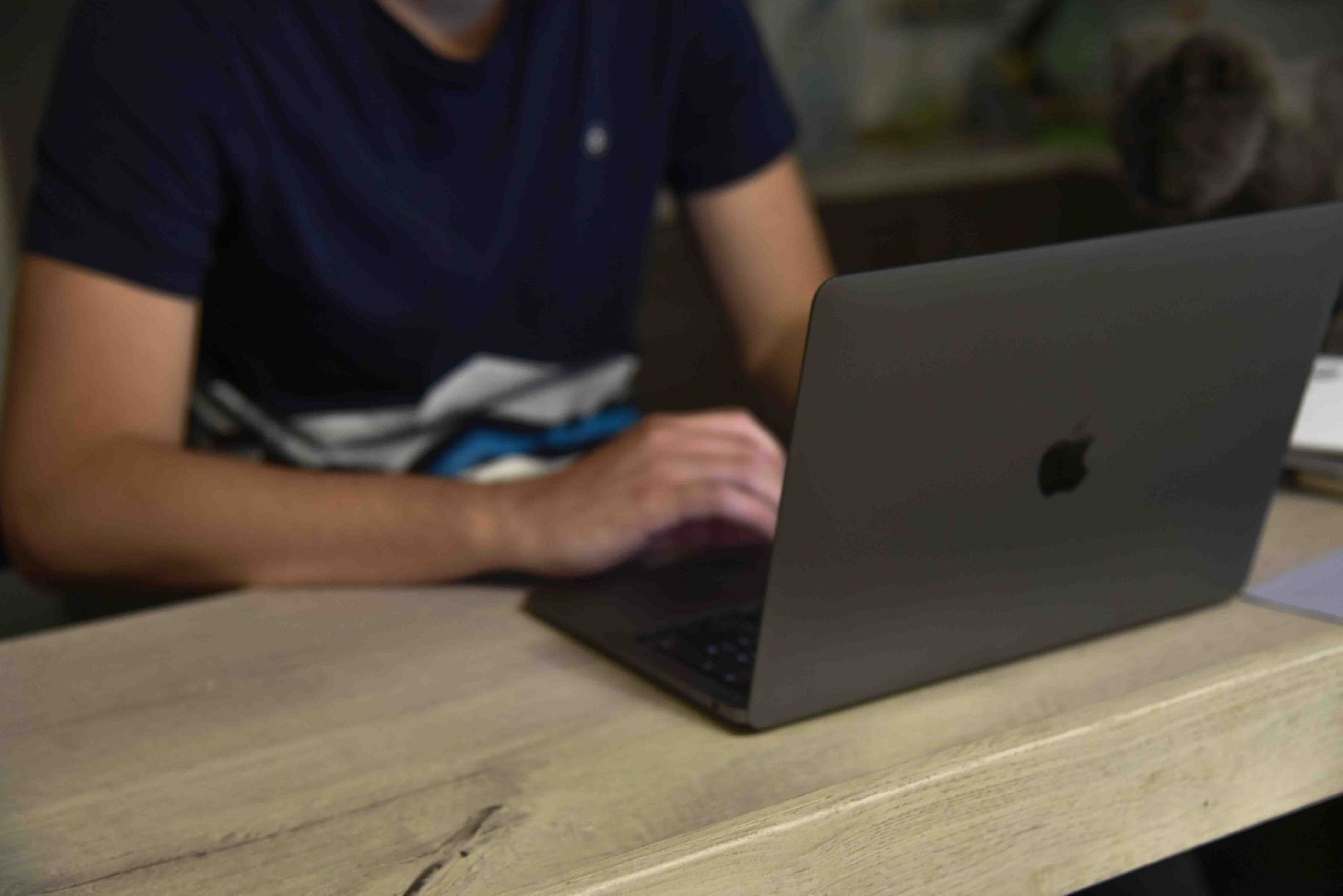 Химки, самозанятый, статус