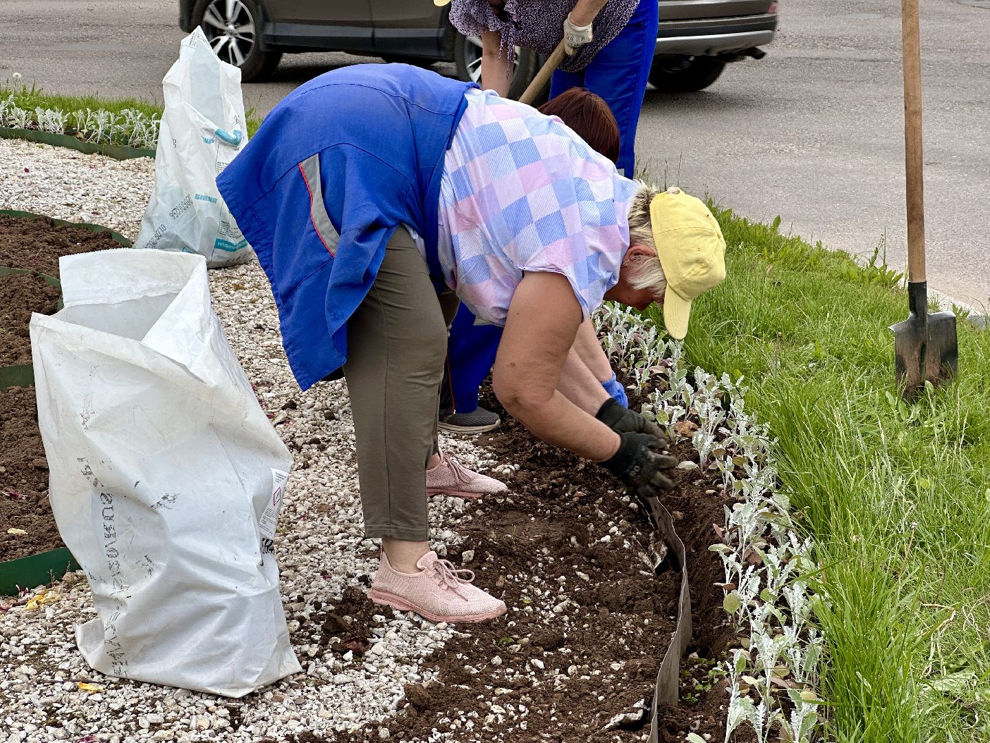 Клин, благоустройство, перемены, цветы, лето