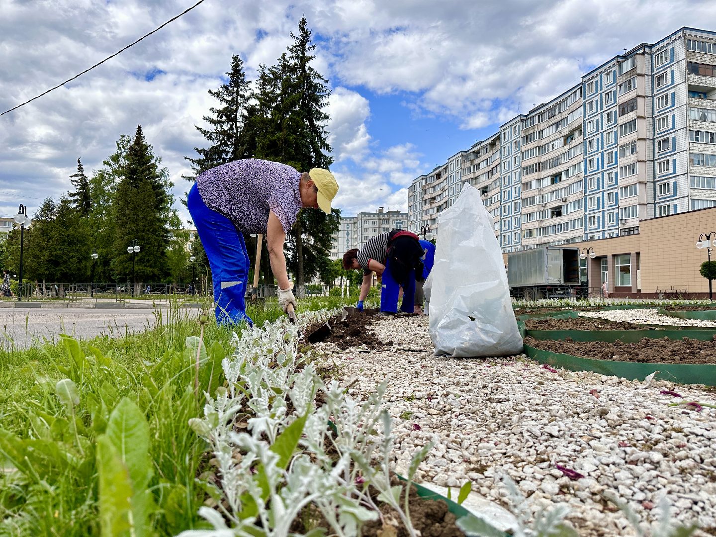 Клин, благоустройство, перемены, цветы, лето