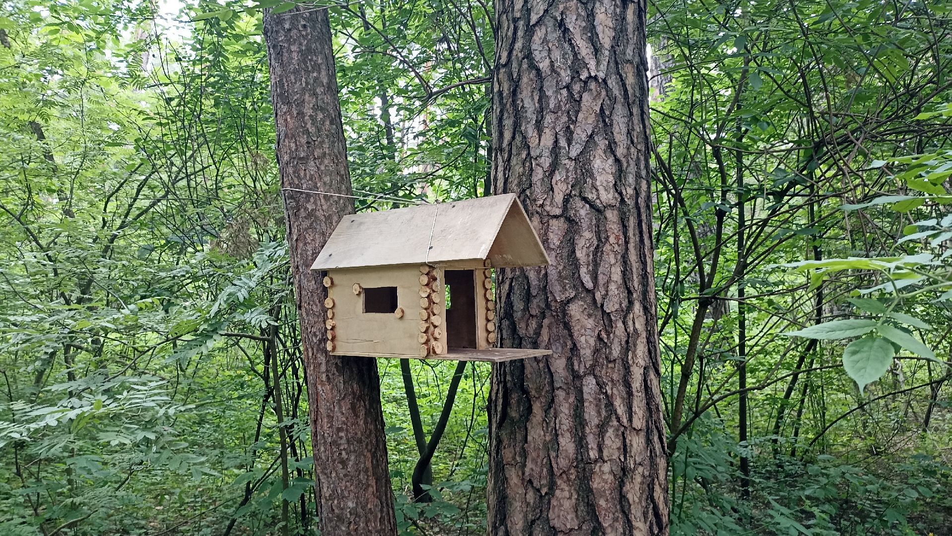 Серпухов, Подмосковье, стадион, белки, реконструкция