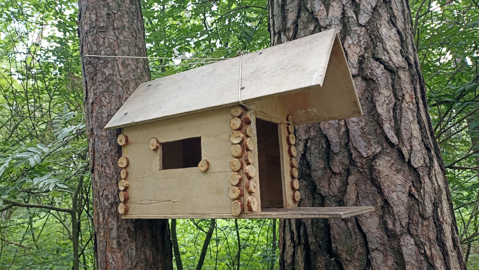 Серпухов, Подмосковье, стадион, белки, реконструкция