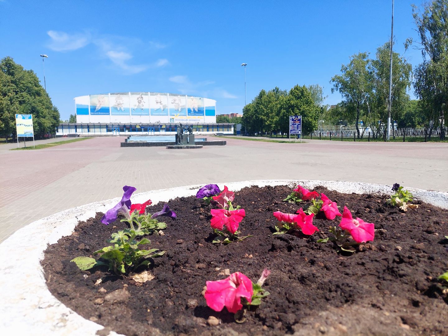 благоустройство, высадка цветов, город