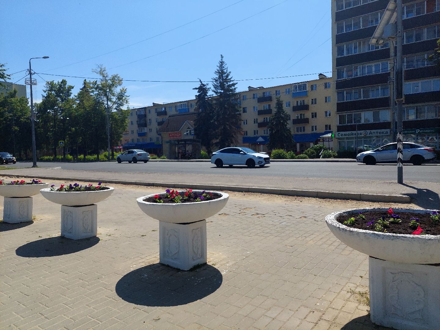 благоустройство, высадка цветов, город