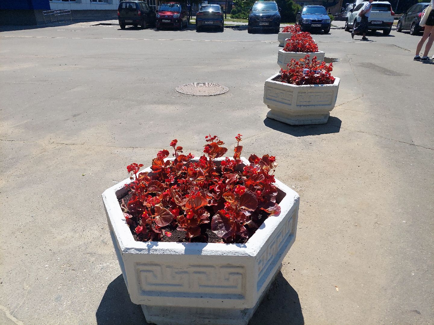 благоустройство, высадка цветов, город