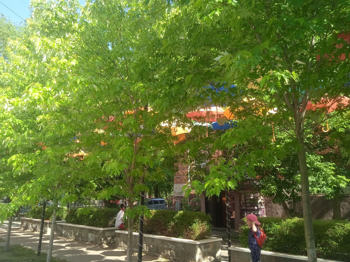 парящие, зонтики, аллея, апарт-отель, Дружба