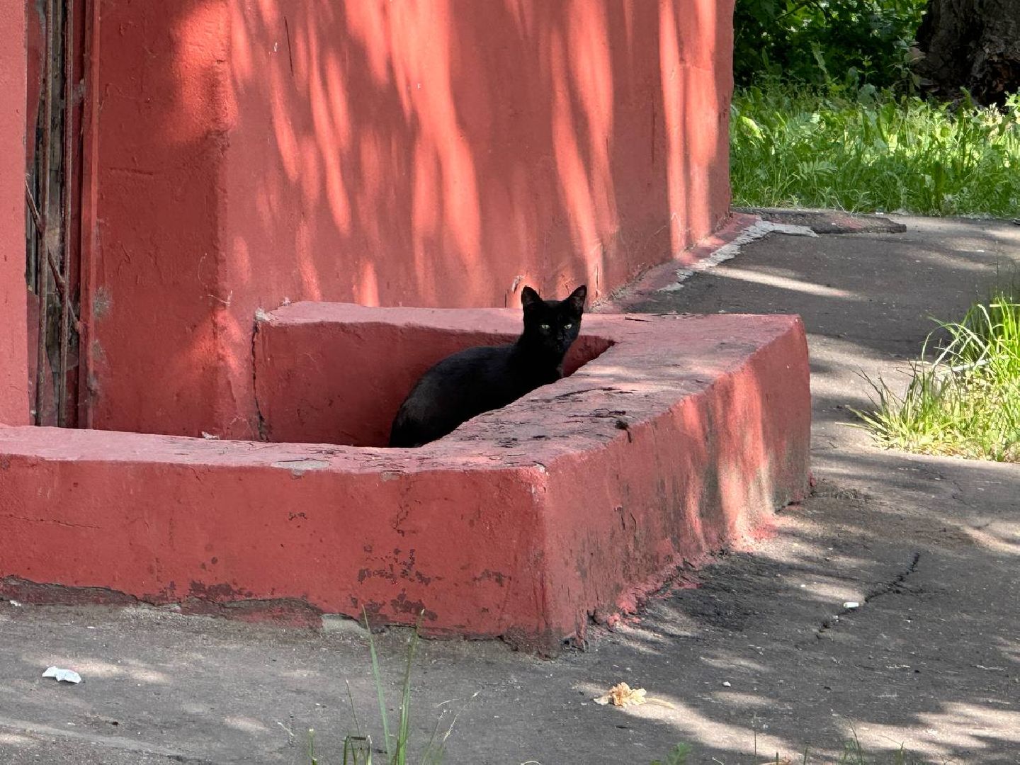 Реутов, ЖКХ, Светлый город, фонари