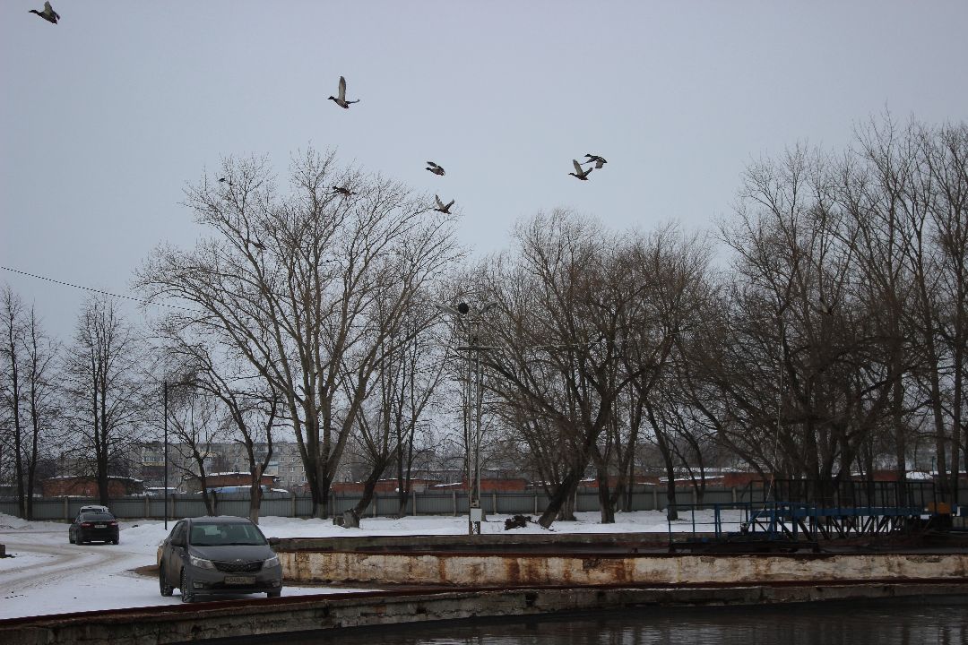 Коломна, строительство