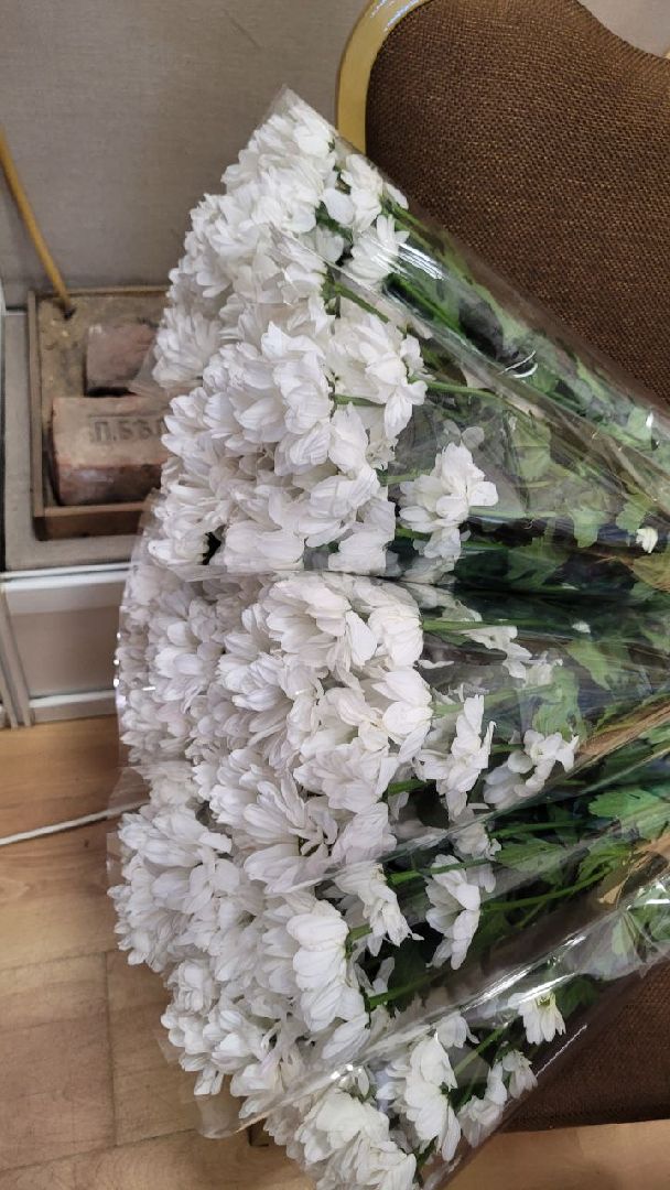 медицина; видное; здравоохранение; врачи