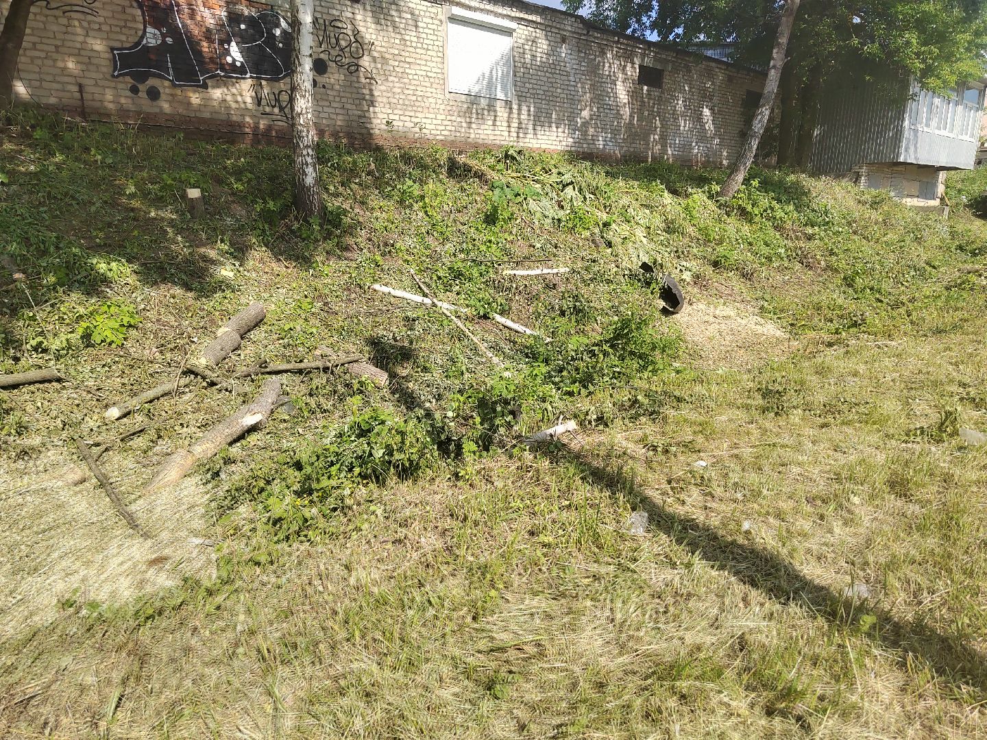 Пушкино, дороги, транспорт