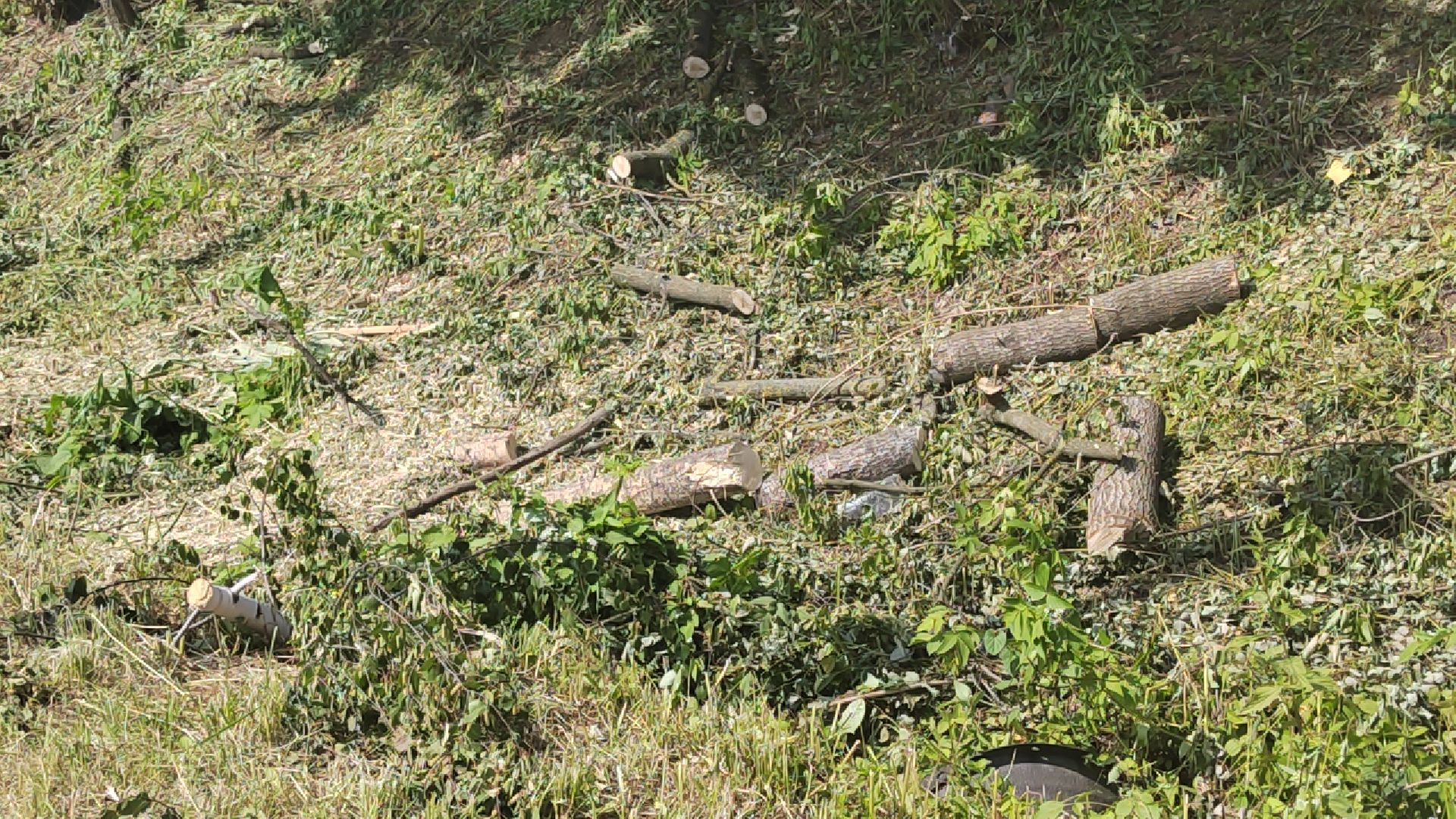 Пушкино, дороги, транспорт