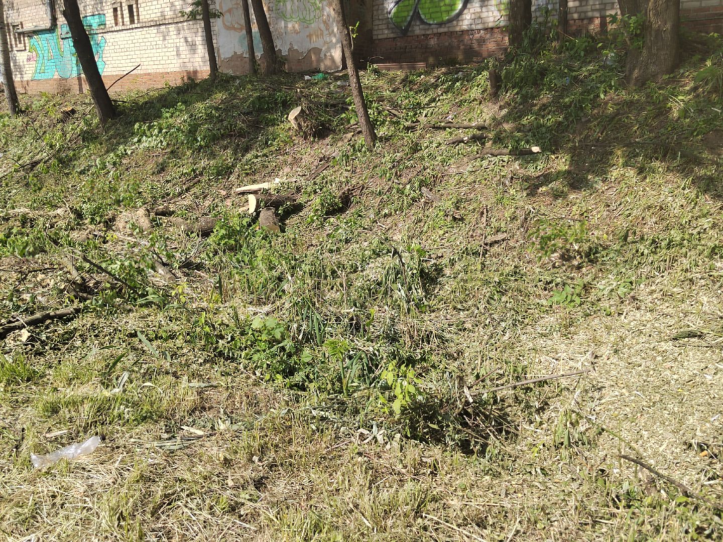 Пушкино, дороги, транспорт