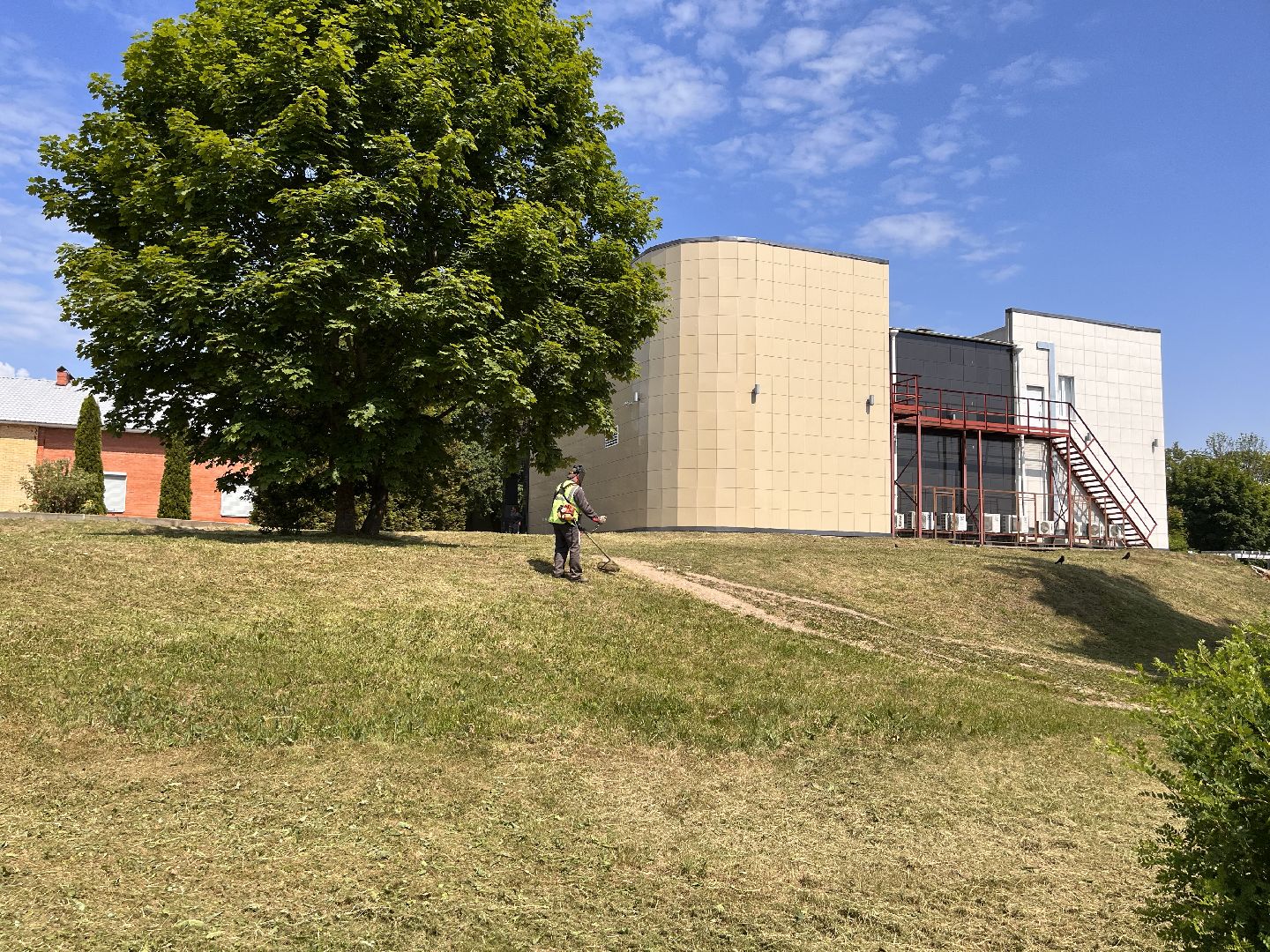 Шаховская, покос, трава