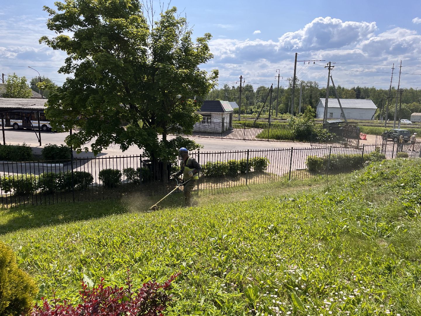 Шаховская, покос, трава