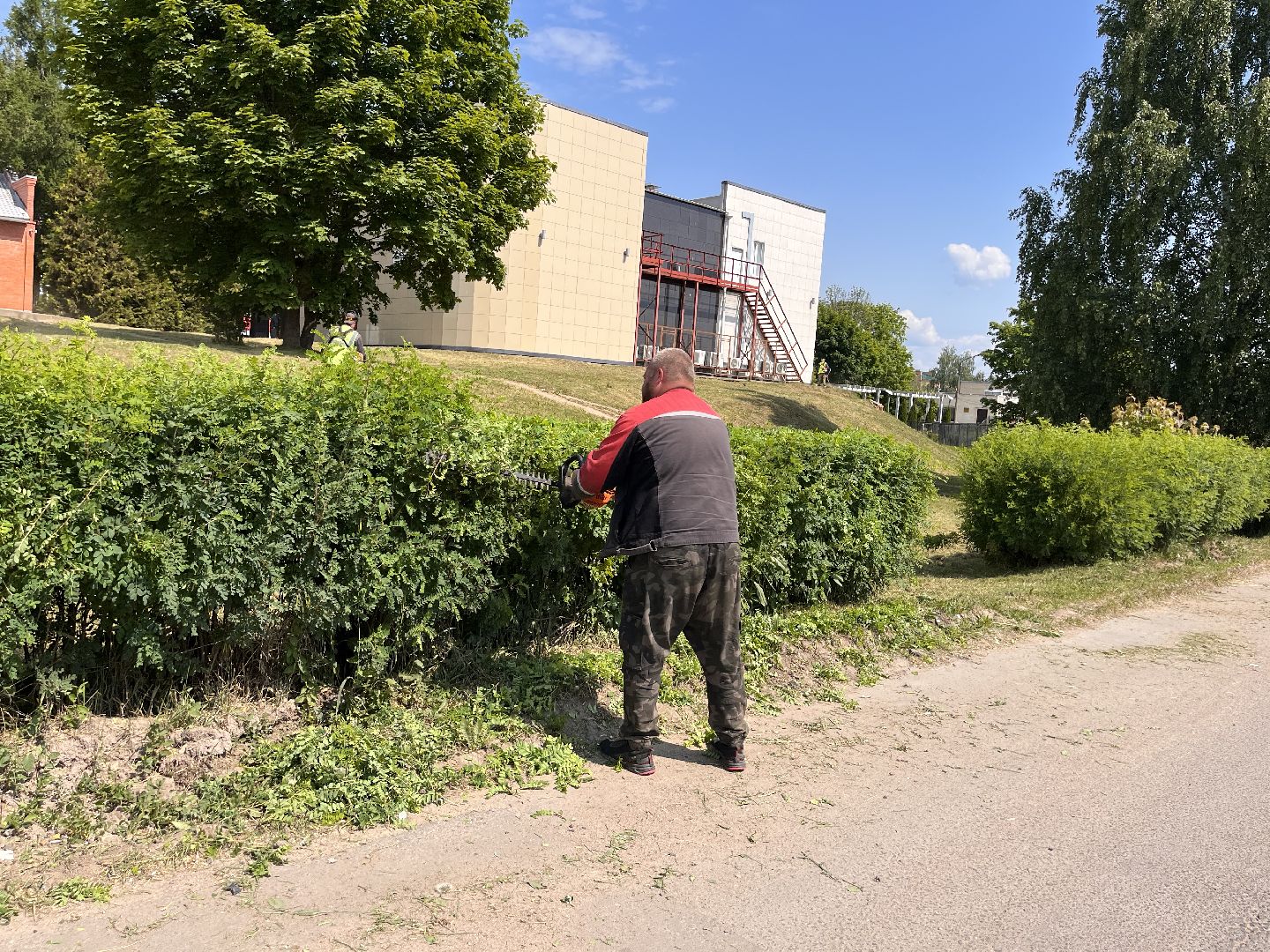 Шаховская, покос, трава