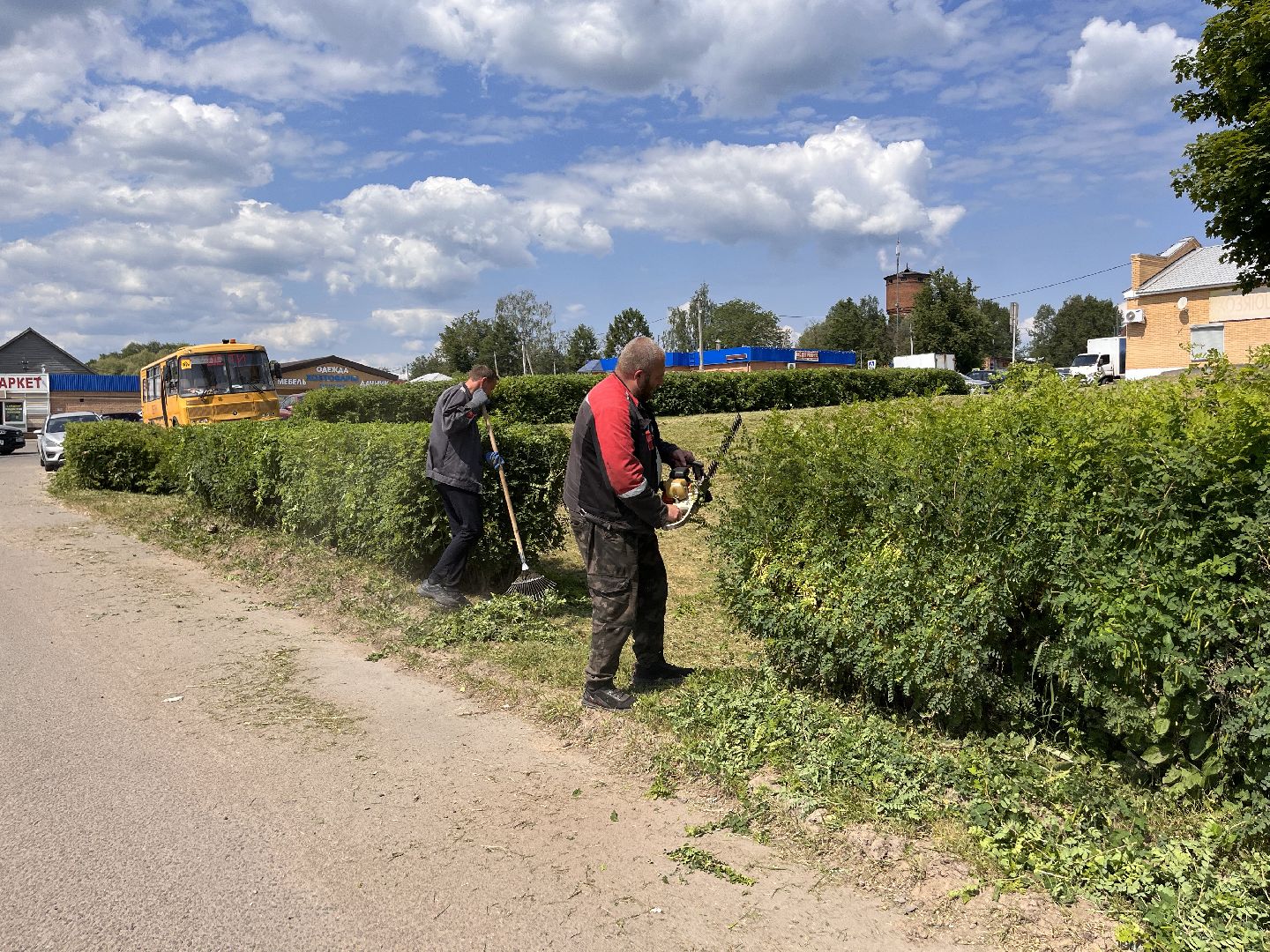Шаховская, покос, трава