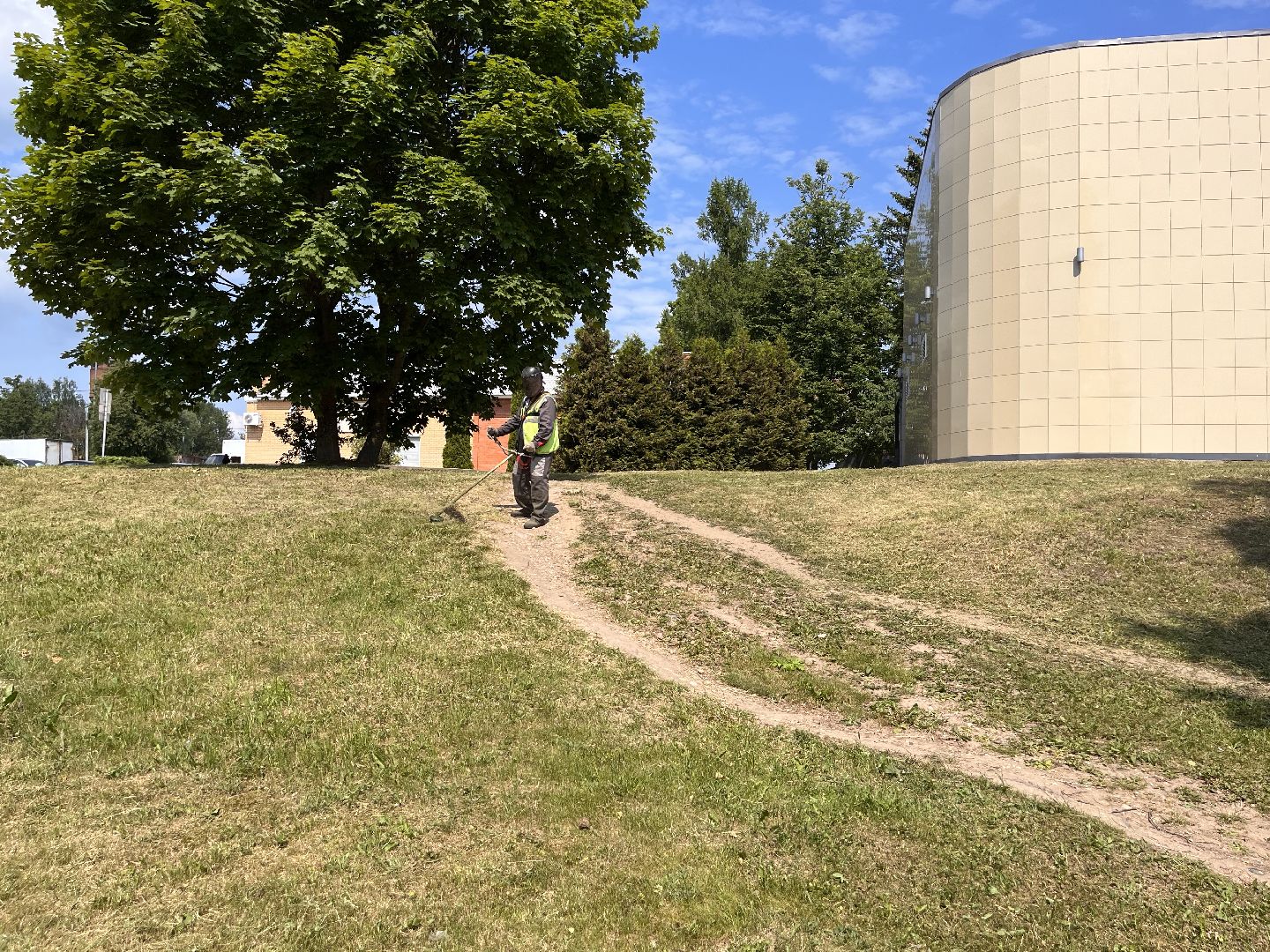 Шаховская, покос, трава