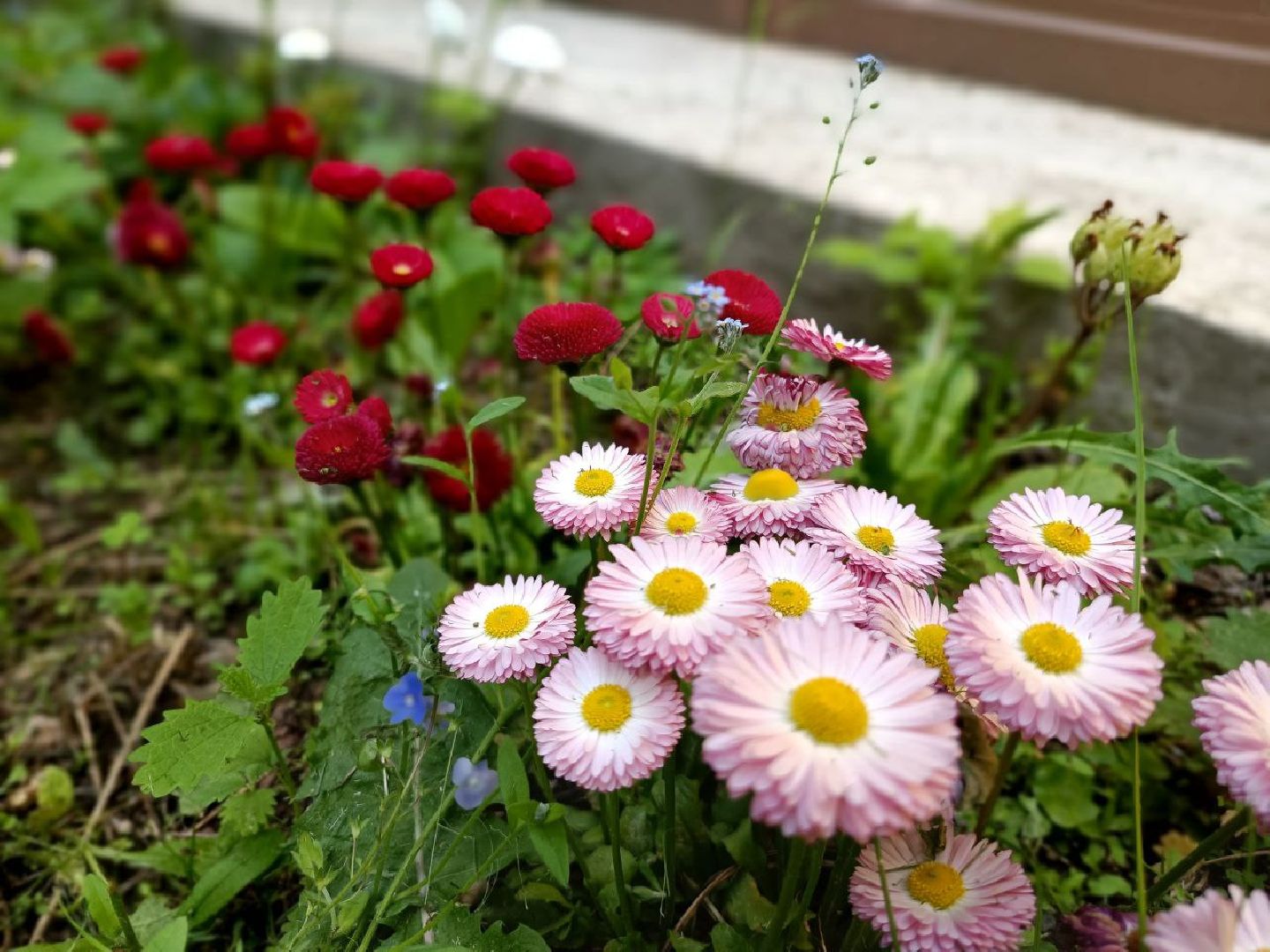 Можайск, Можайский городской округ, Подмосковье, благоустройство, дворовые территории, федеральный проект, работы, Добродел, голосование, жители