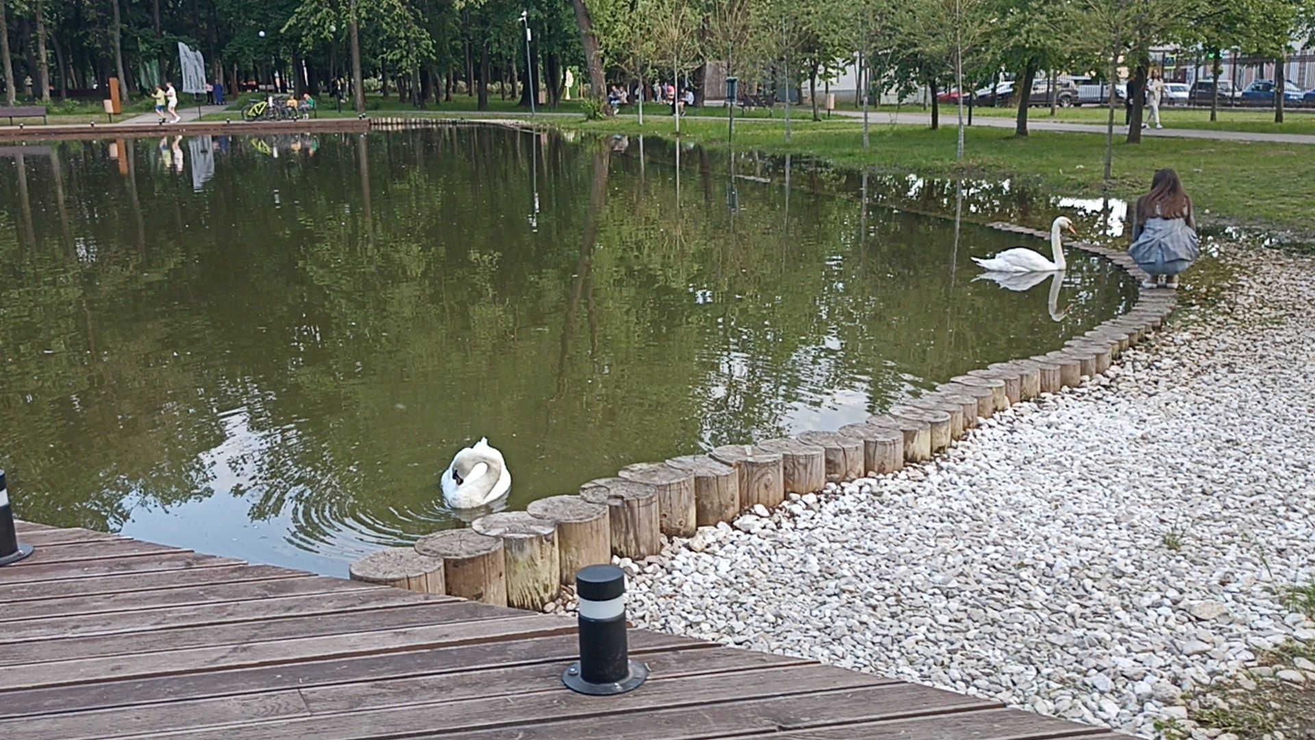 Серпухов, Подмосковье, парк, лебеди, пруд, отдых, семья