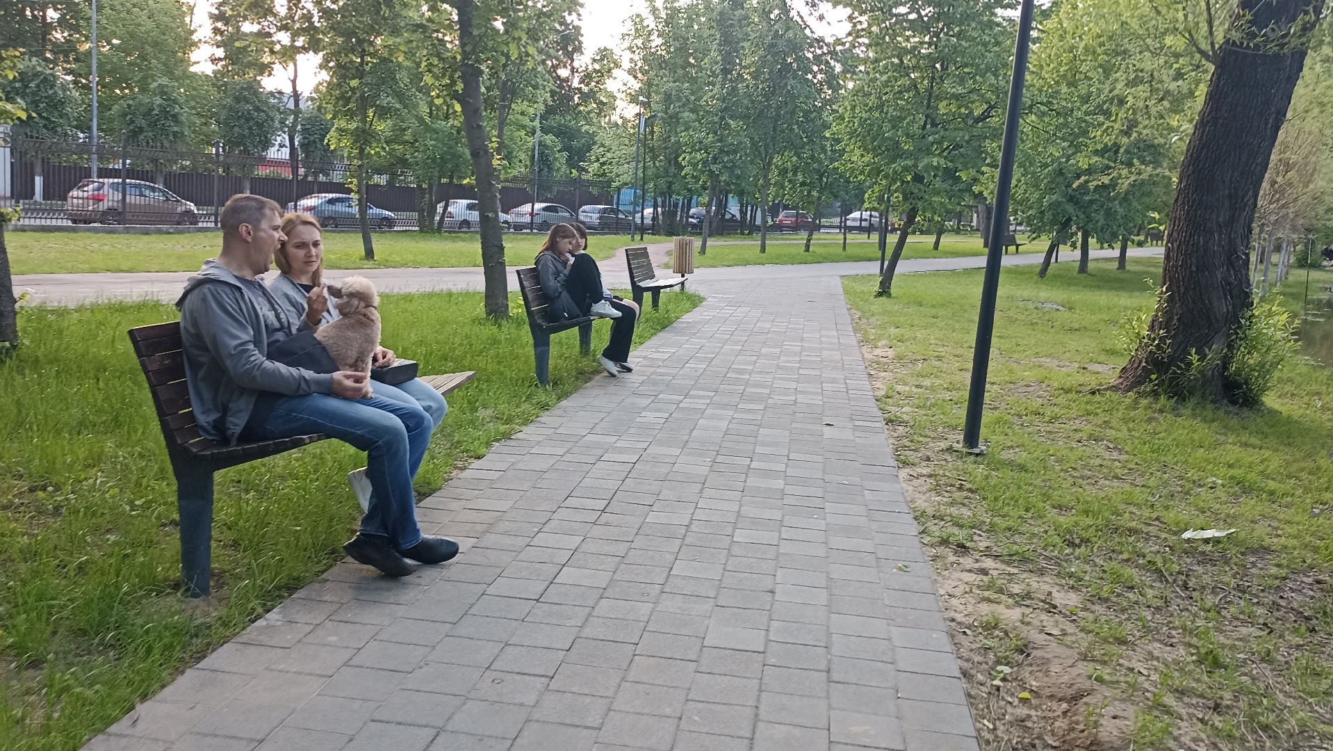 Серпухов, Подмосковье, парк, лебеди, пруд, отдых, семья