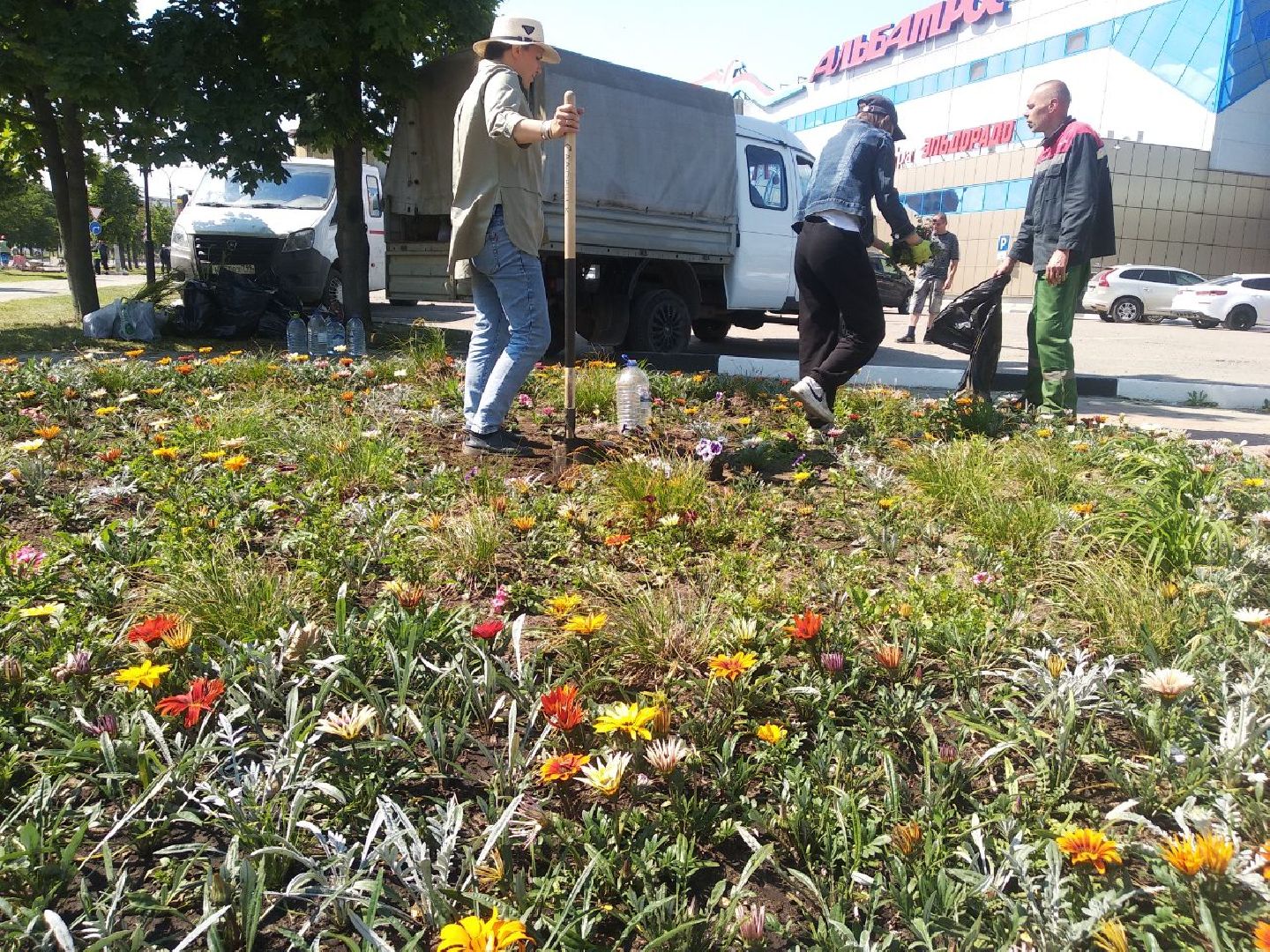 Дмитров, Озеленение, МКУ ЖКХ и благоустройство