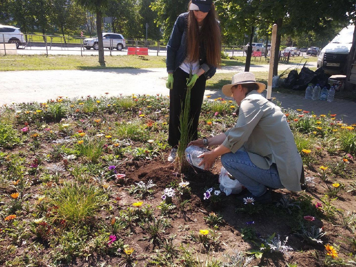 Дмитров, Озеленение, МКУ ЖКХ и благоустройство