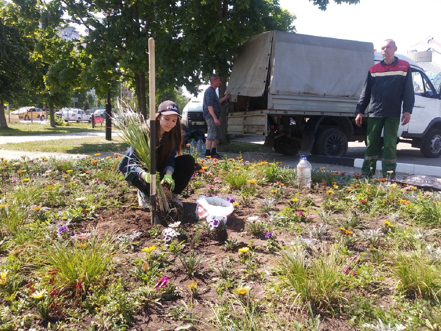Дмитров, Озеленение, МКУ ЖКХ и благоустройство