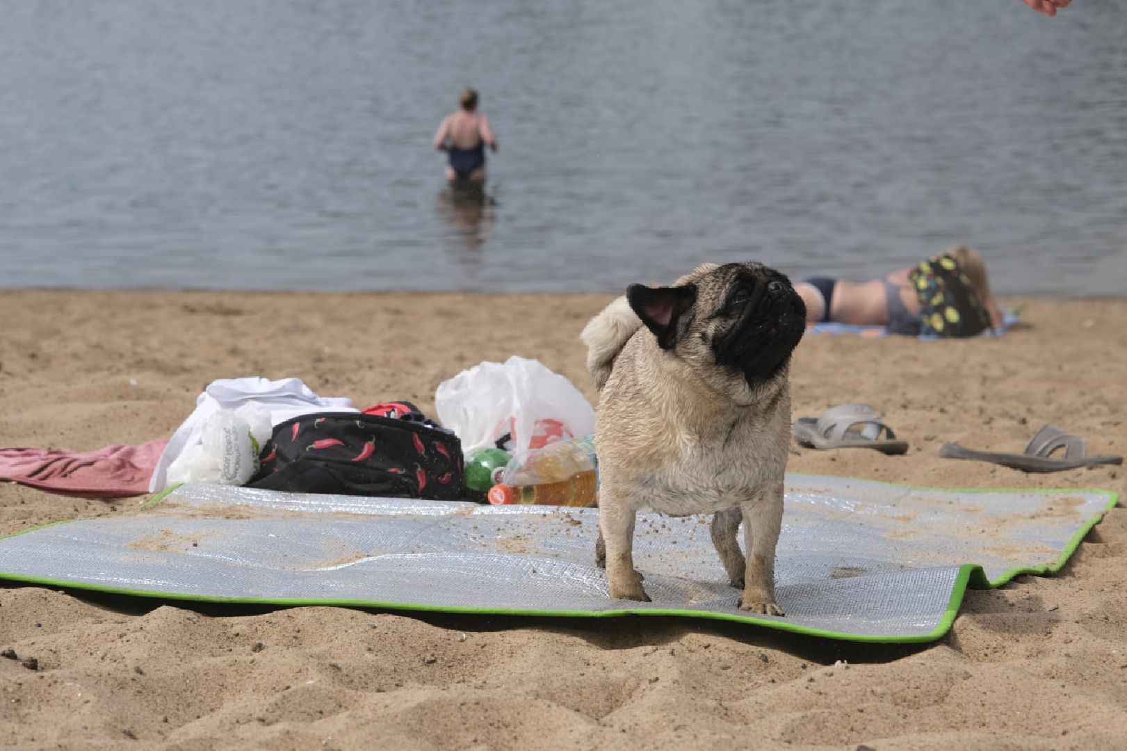 Пущино, пляж