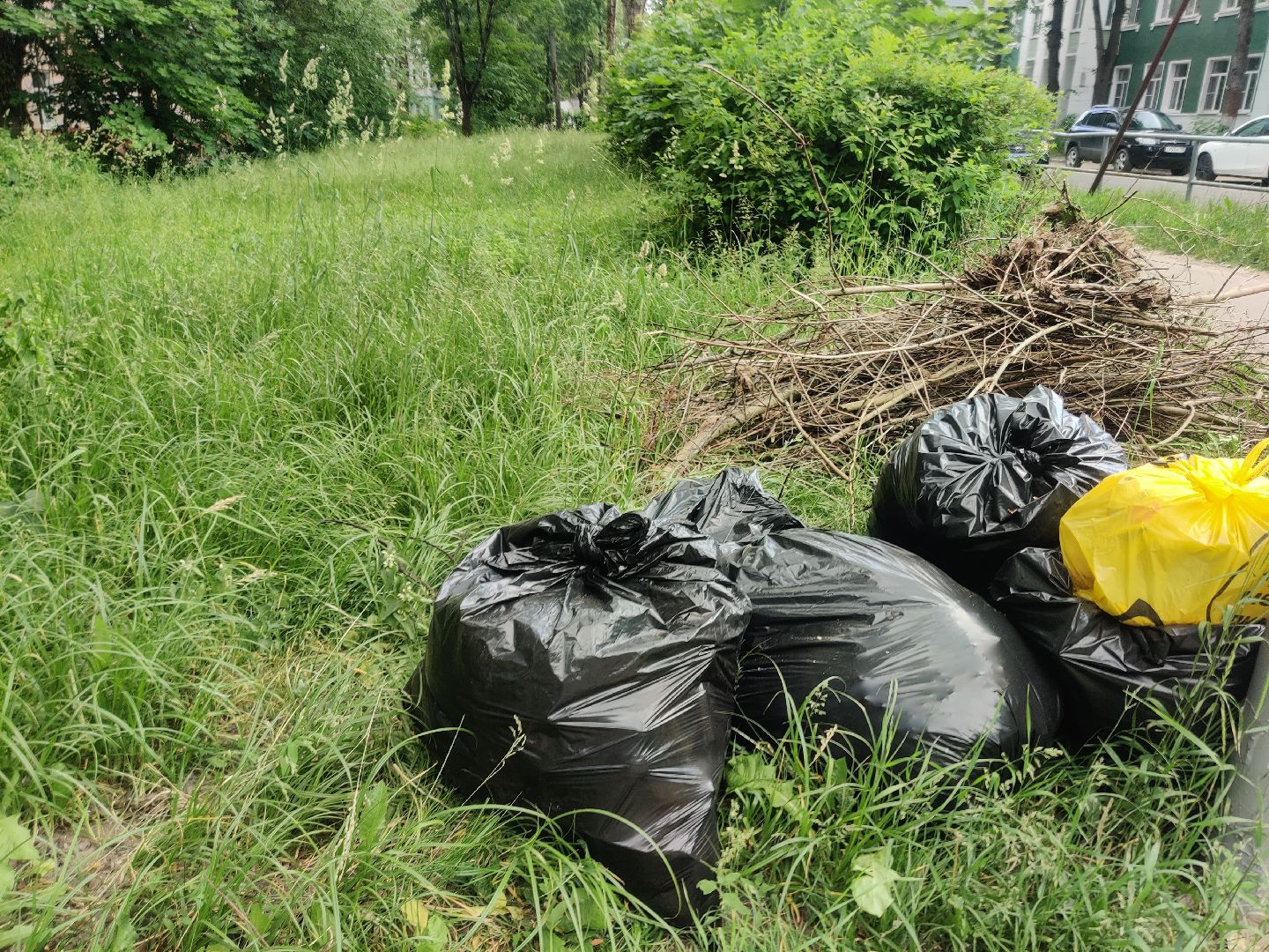 Красноармейск, Пушкинский, покос травы, содержание территорий, ГУСТ