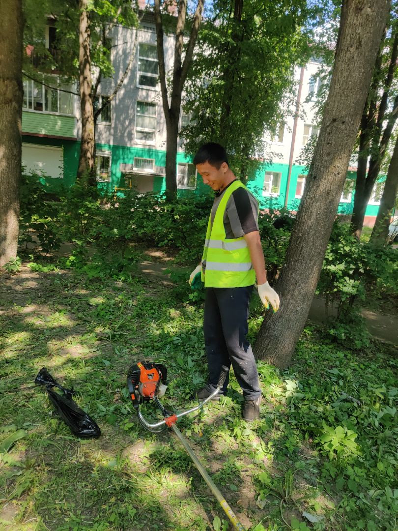 Красноармейск, Пушкинский, покос травы, содержание территорий, ГУСТ