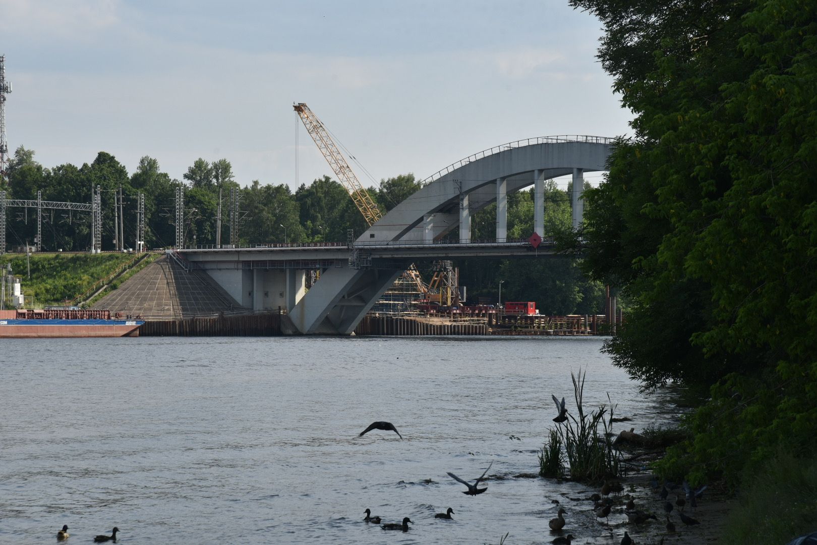 Химки, жара, врач, рекомендация