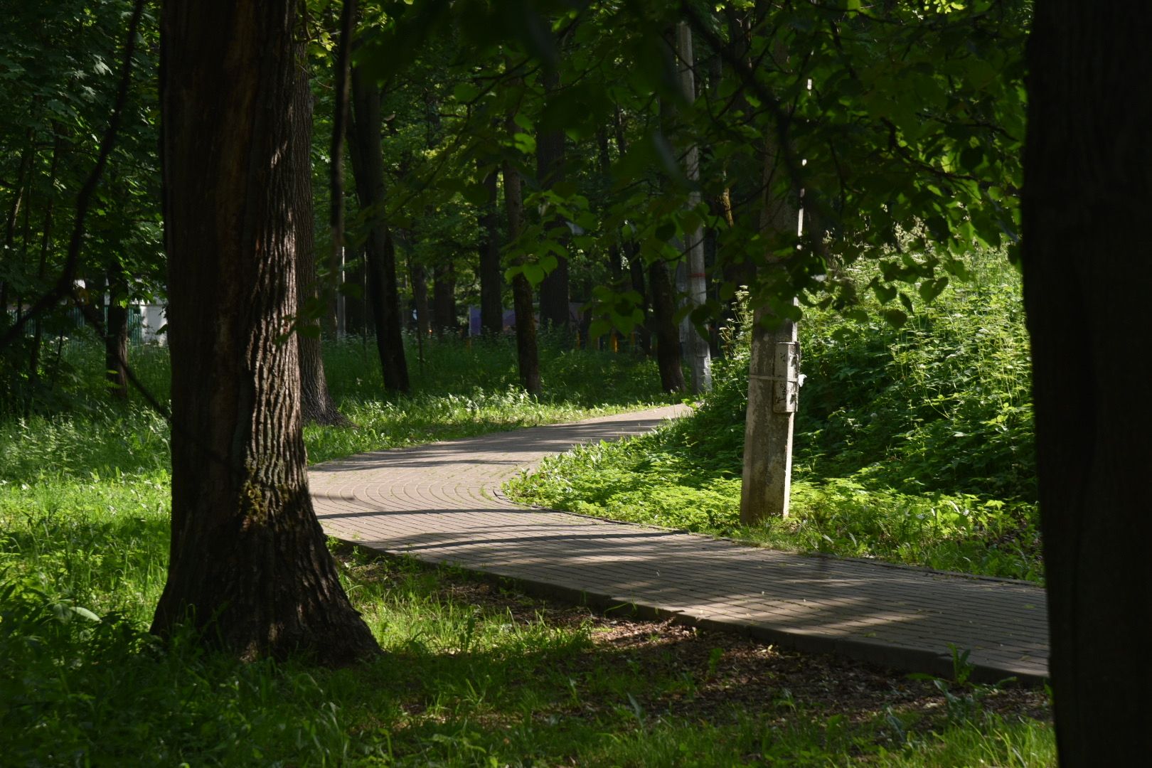 Химки, жара, врач, рекомендация