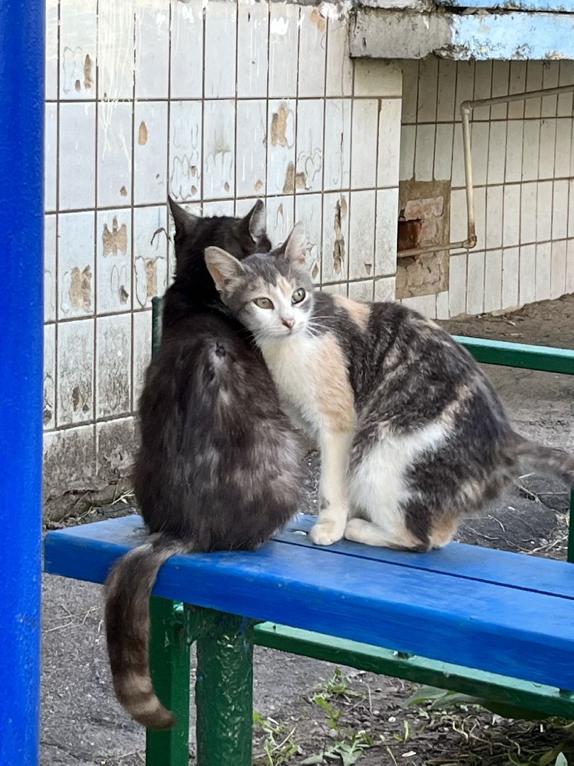Наро-Фоминский городской округ, детская площадка, Подмосковье, перемены