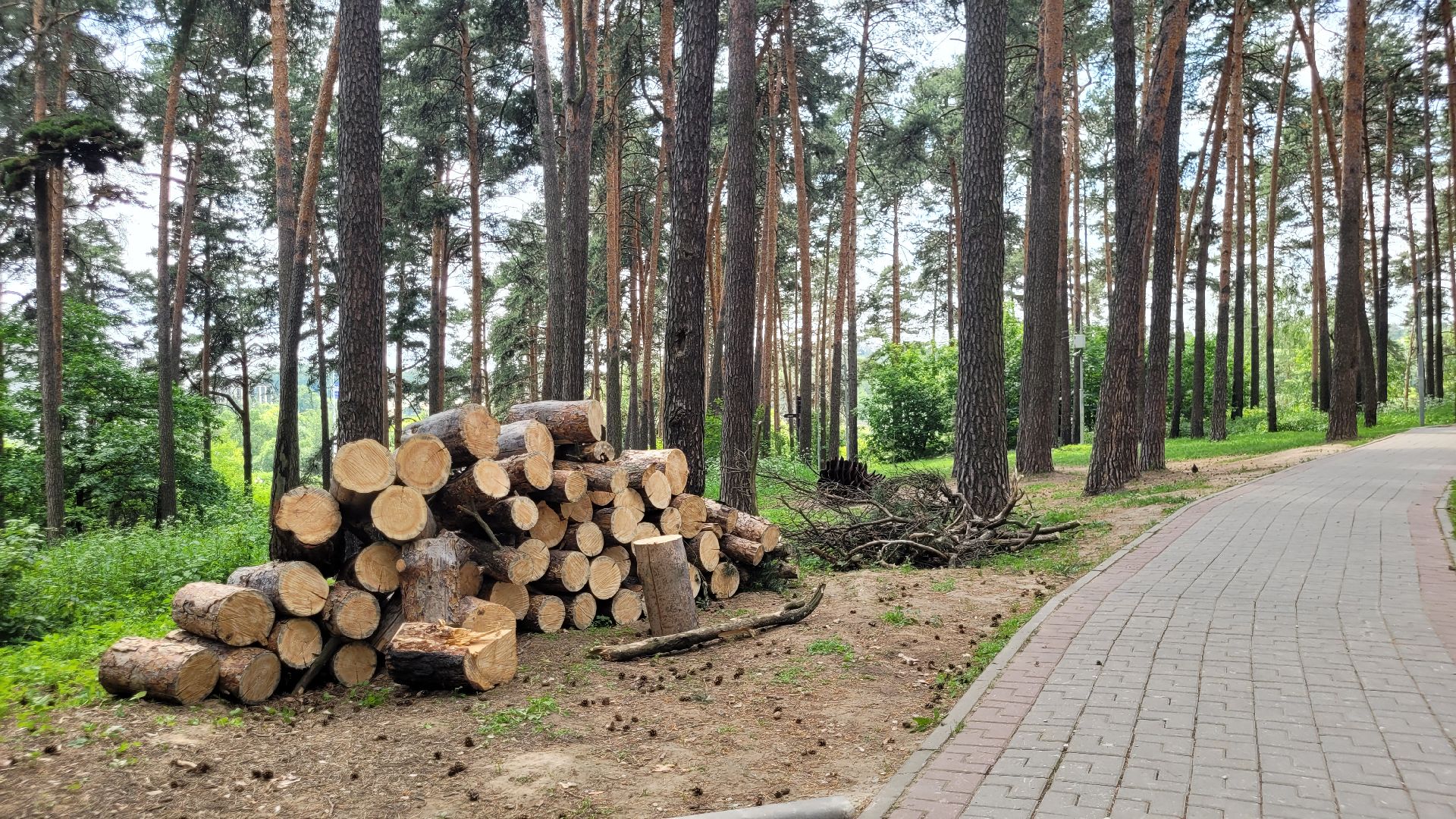 творчество; художники; видное; пленэр; природа