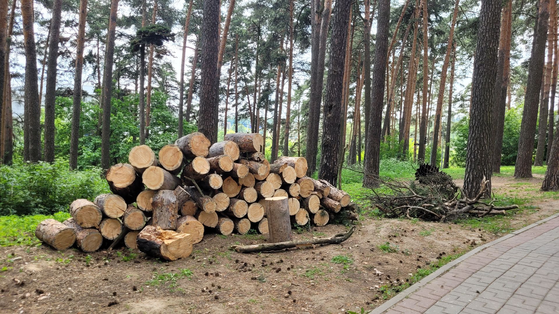 творчество; художники; видное; пленэр; природа